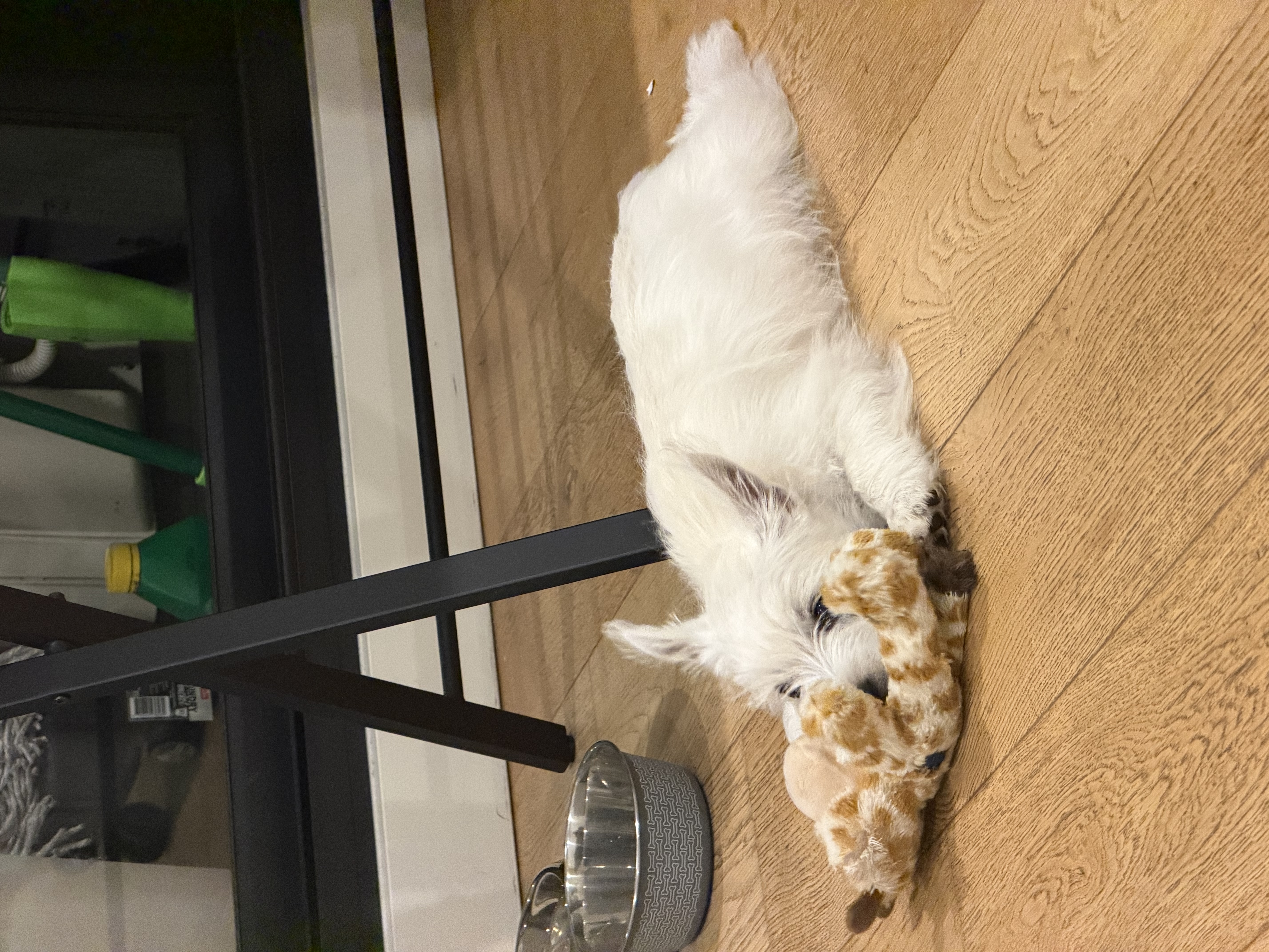 image-7