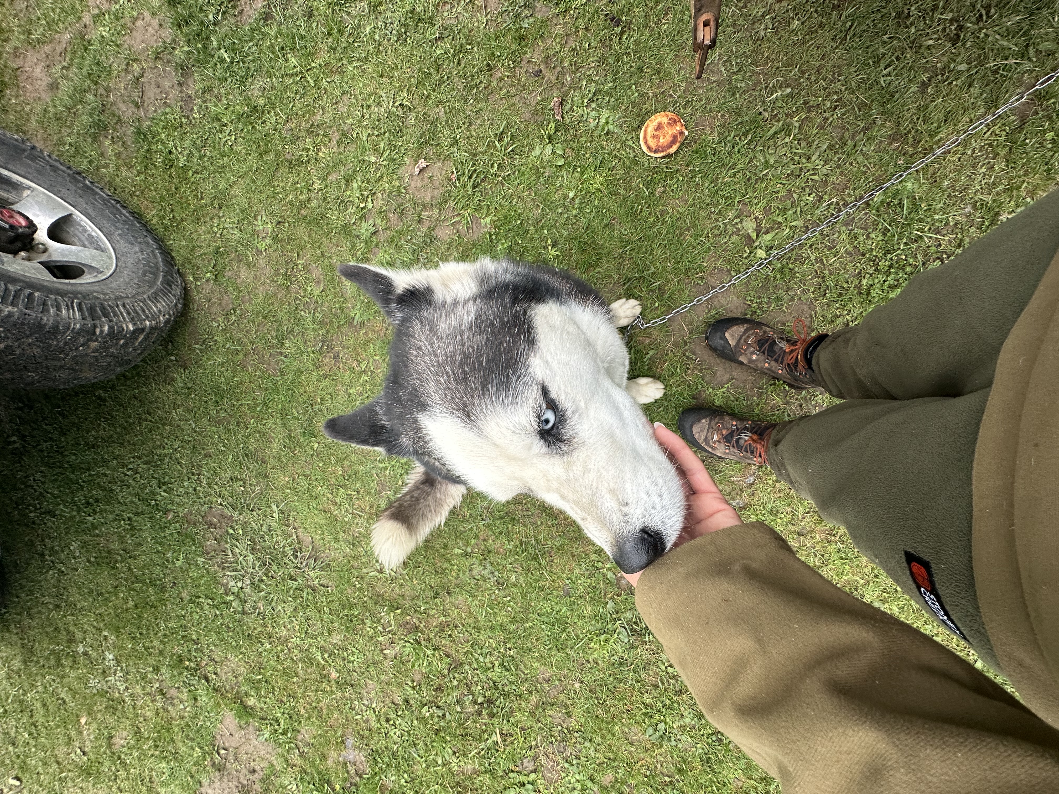 image-6