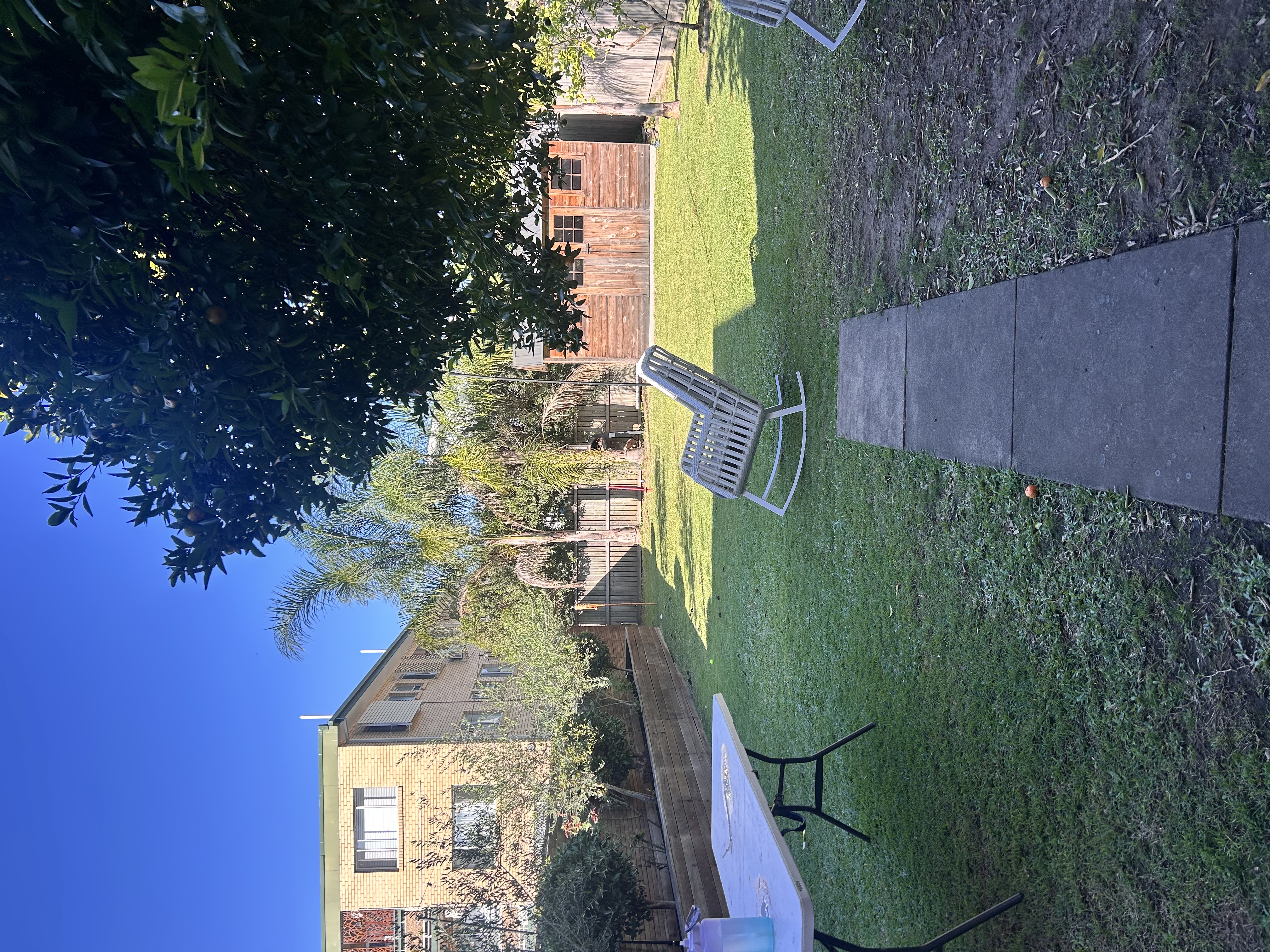 image-11