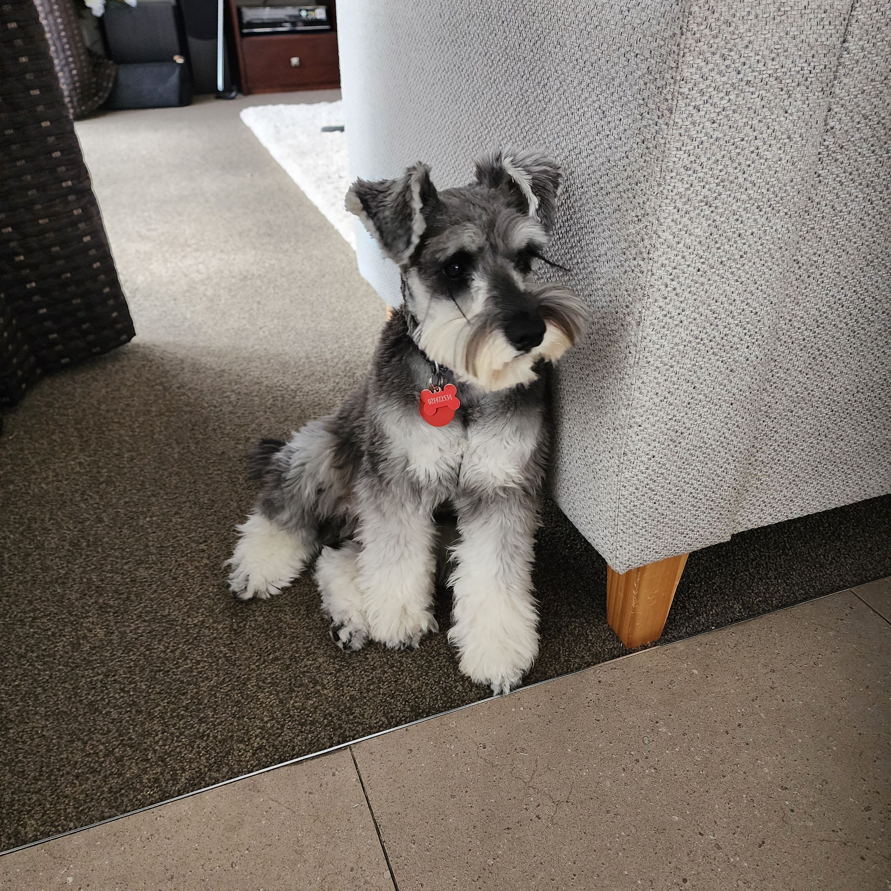 Milo