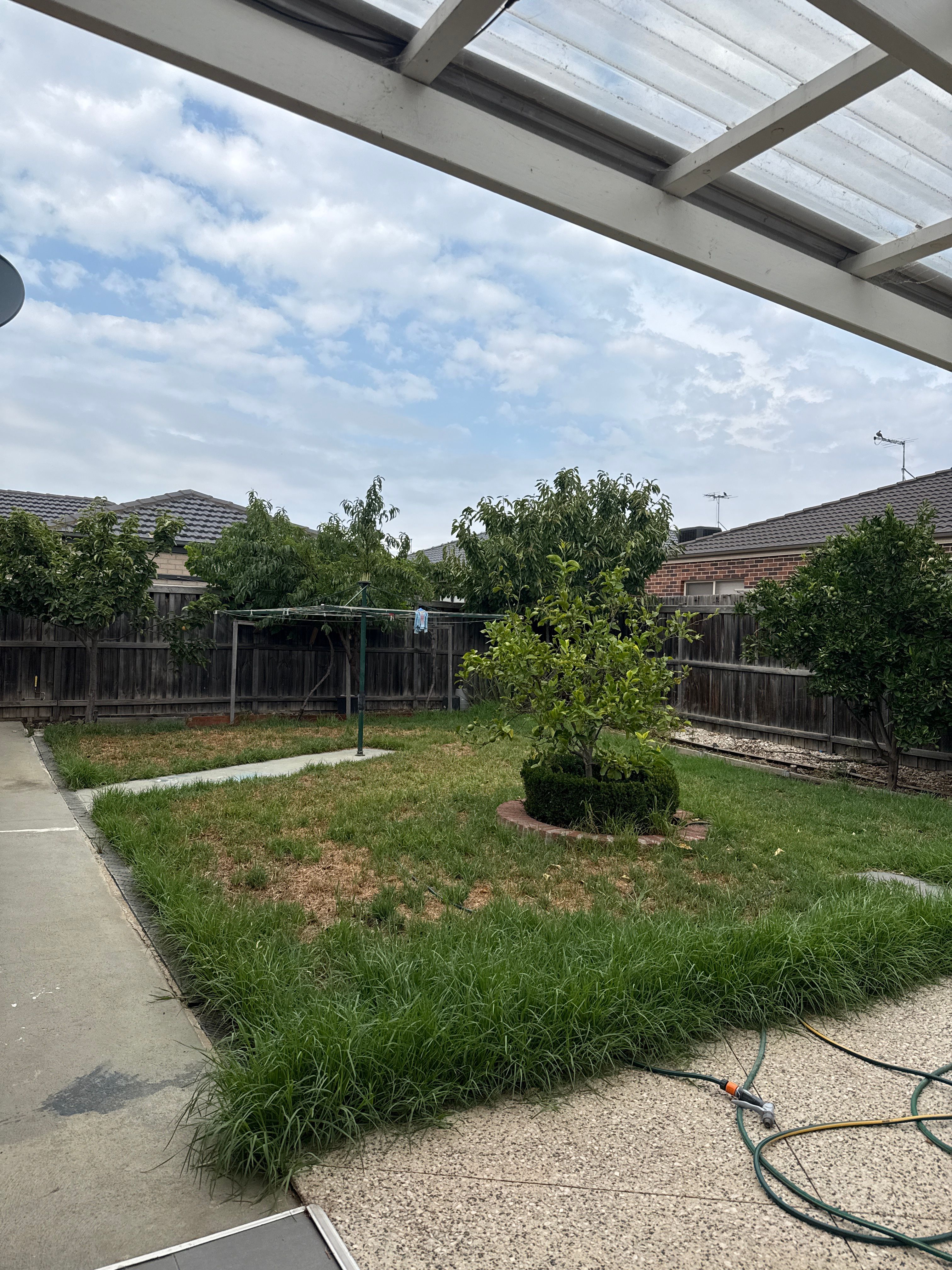 image-18