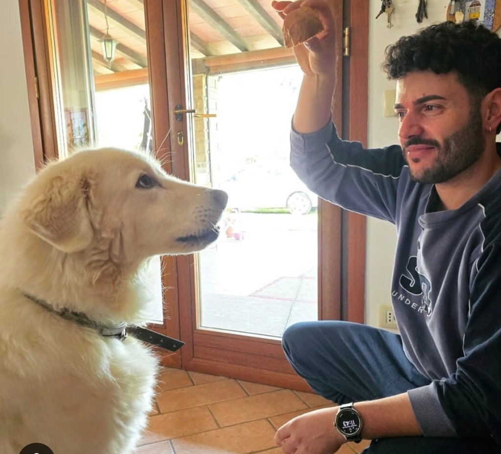 Marcello