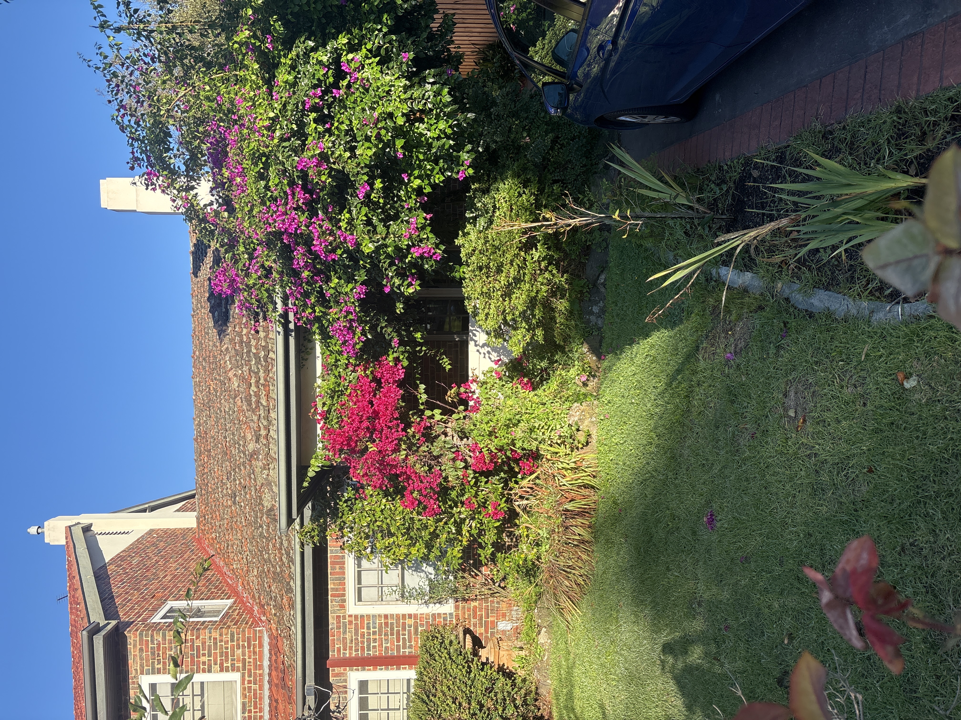 image-20