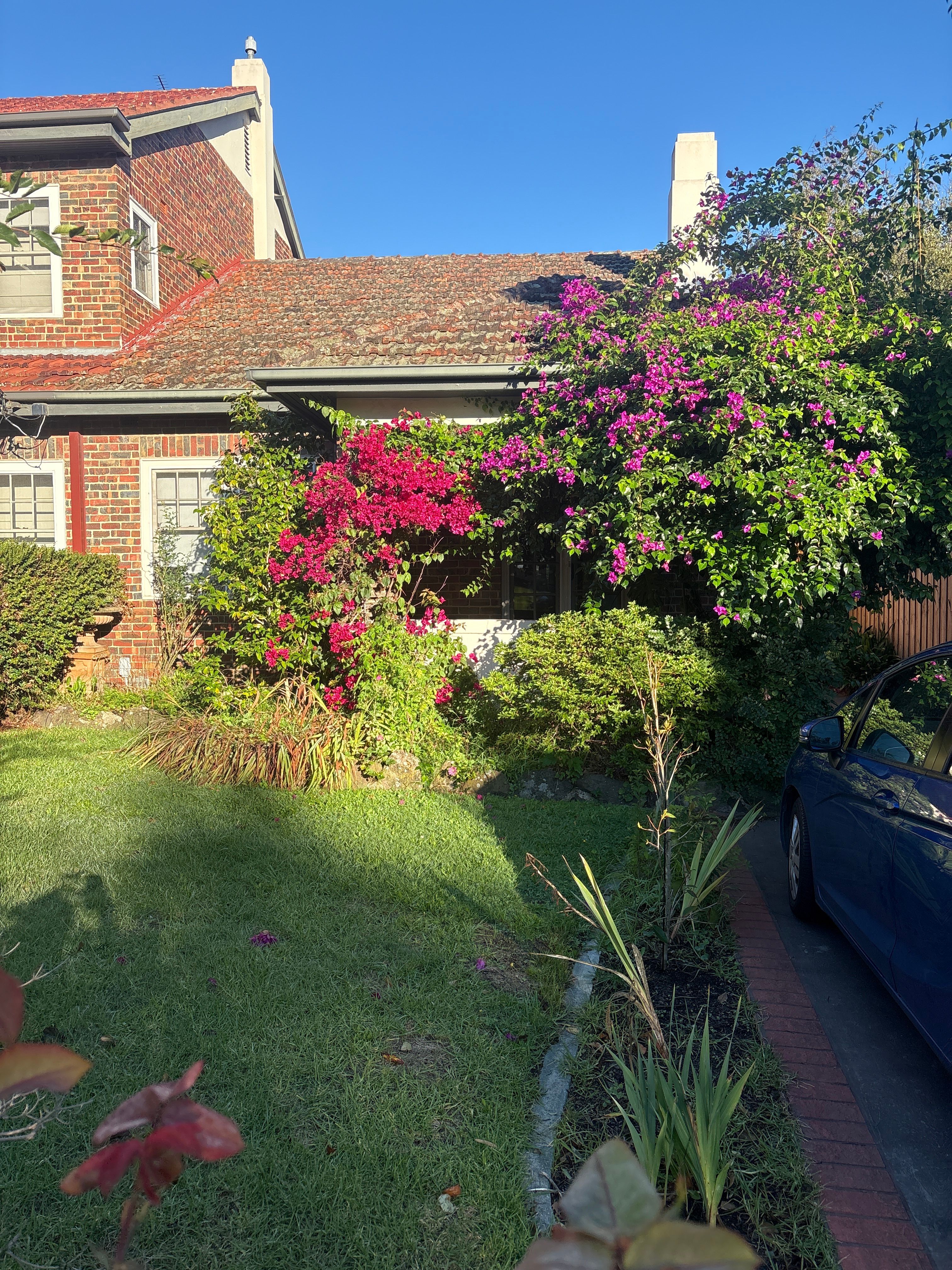 image-20