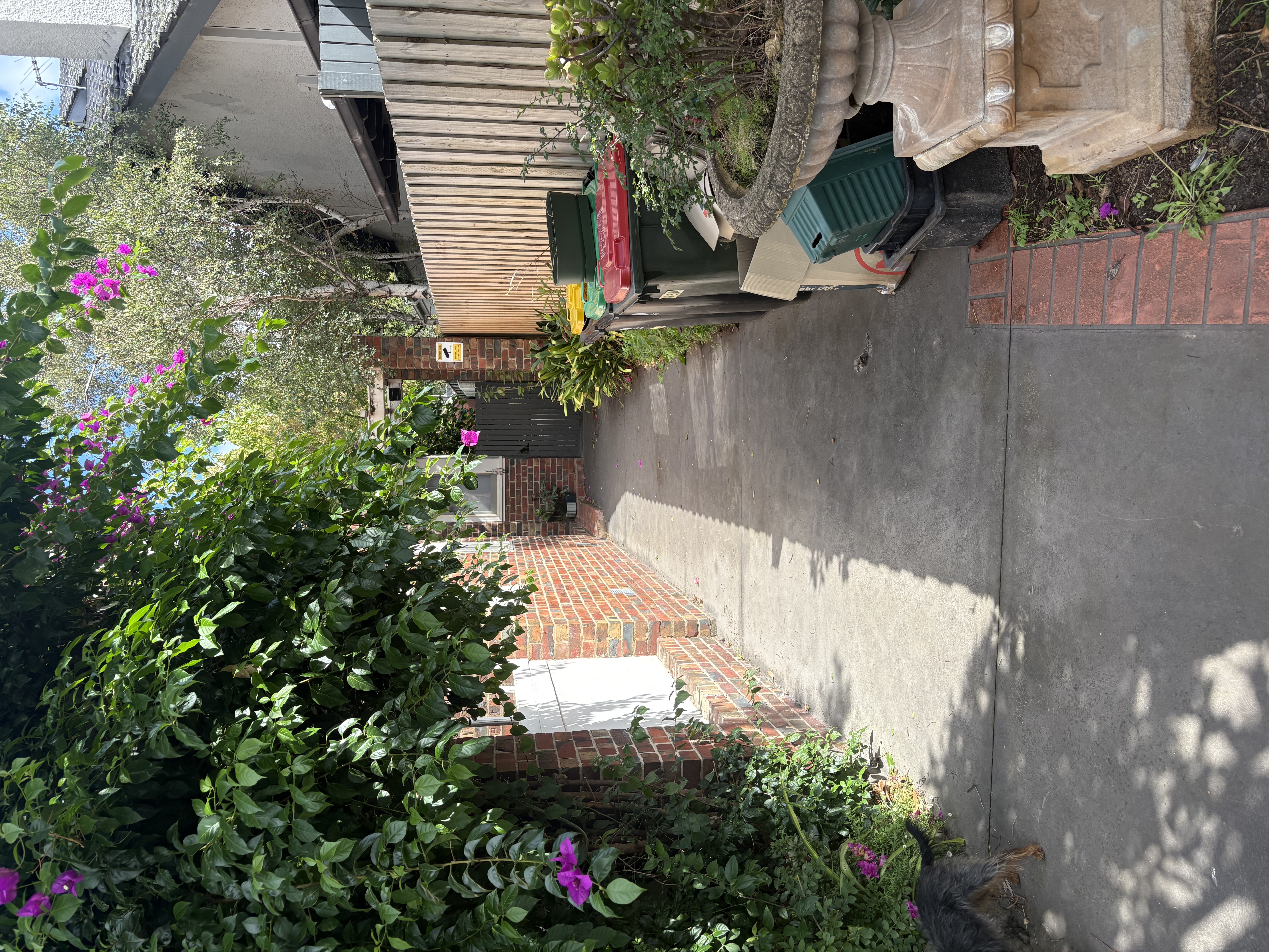 image-18