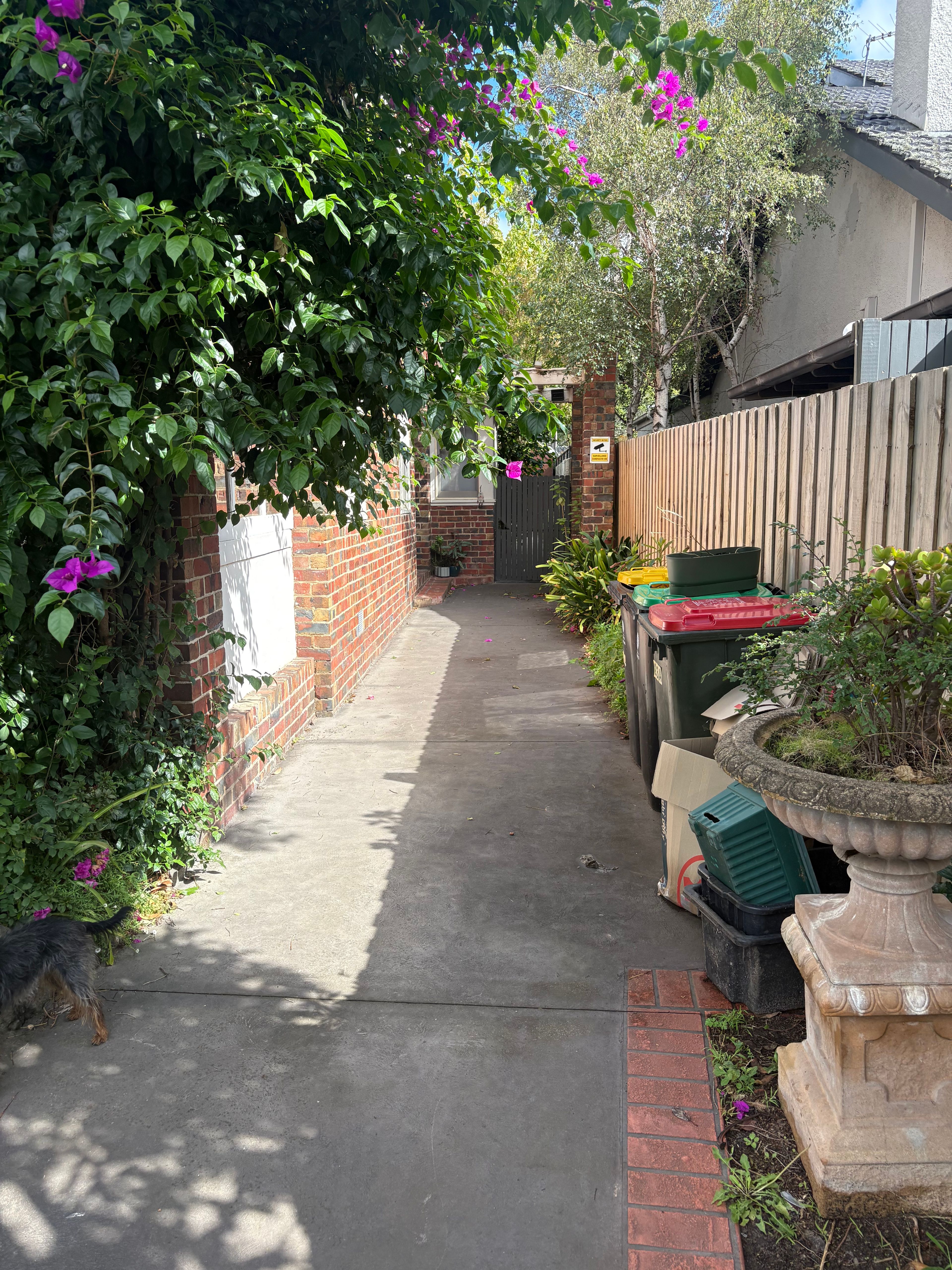 image-18