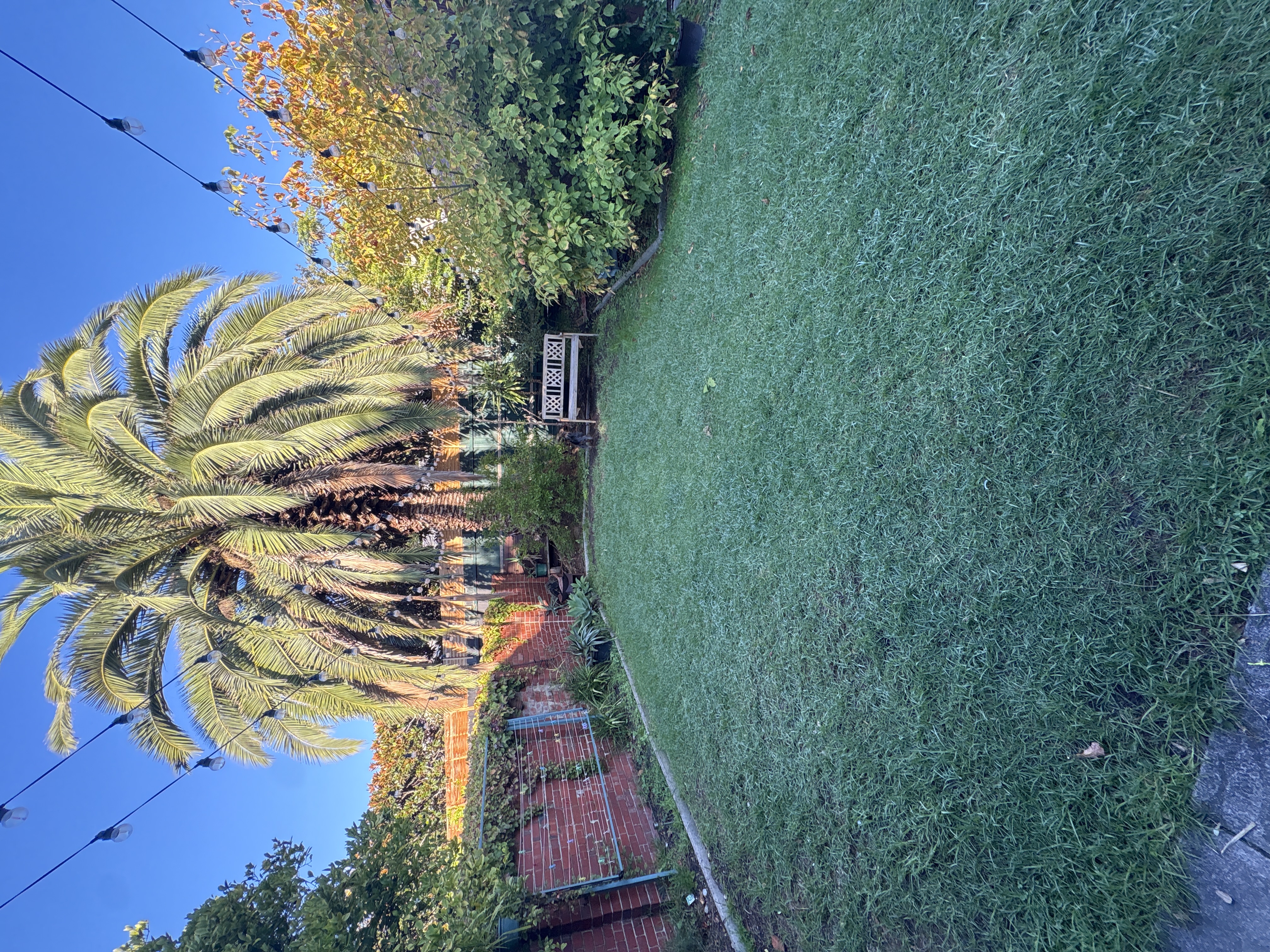 image-21