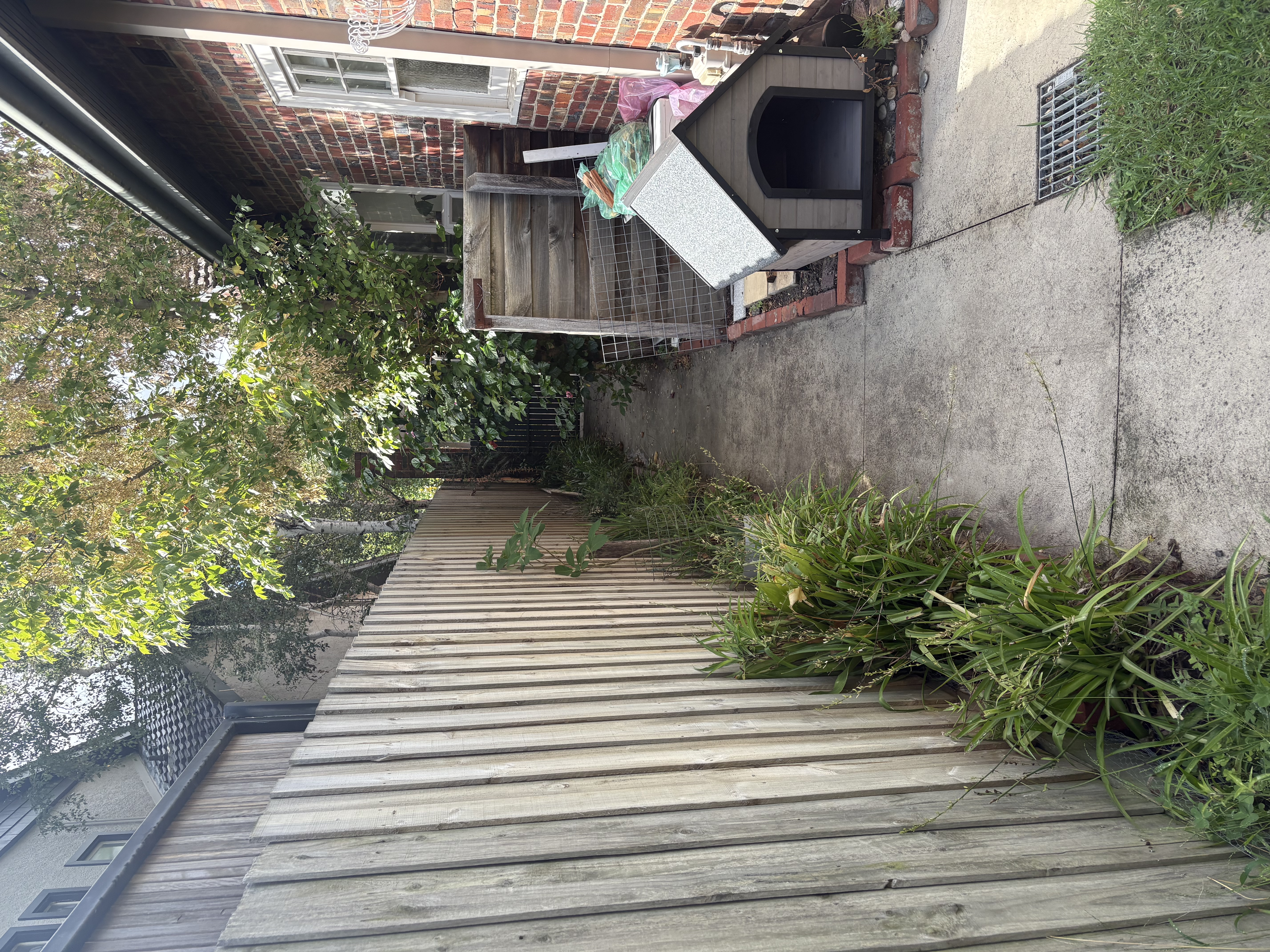 image-19