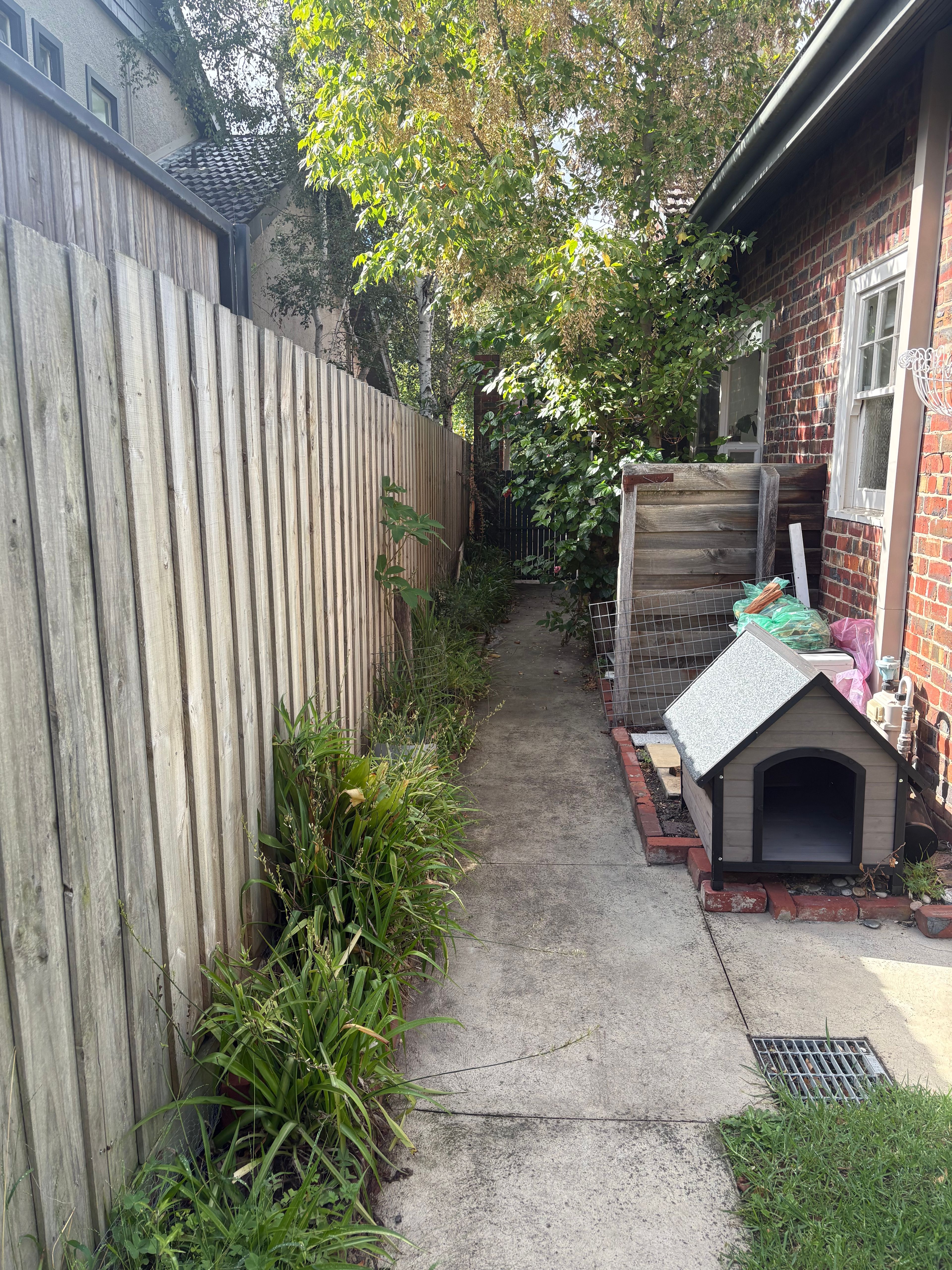 image-19