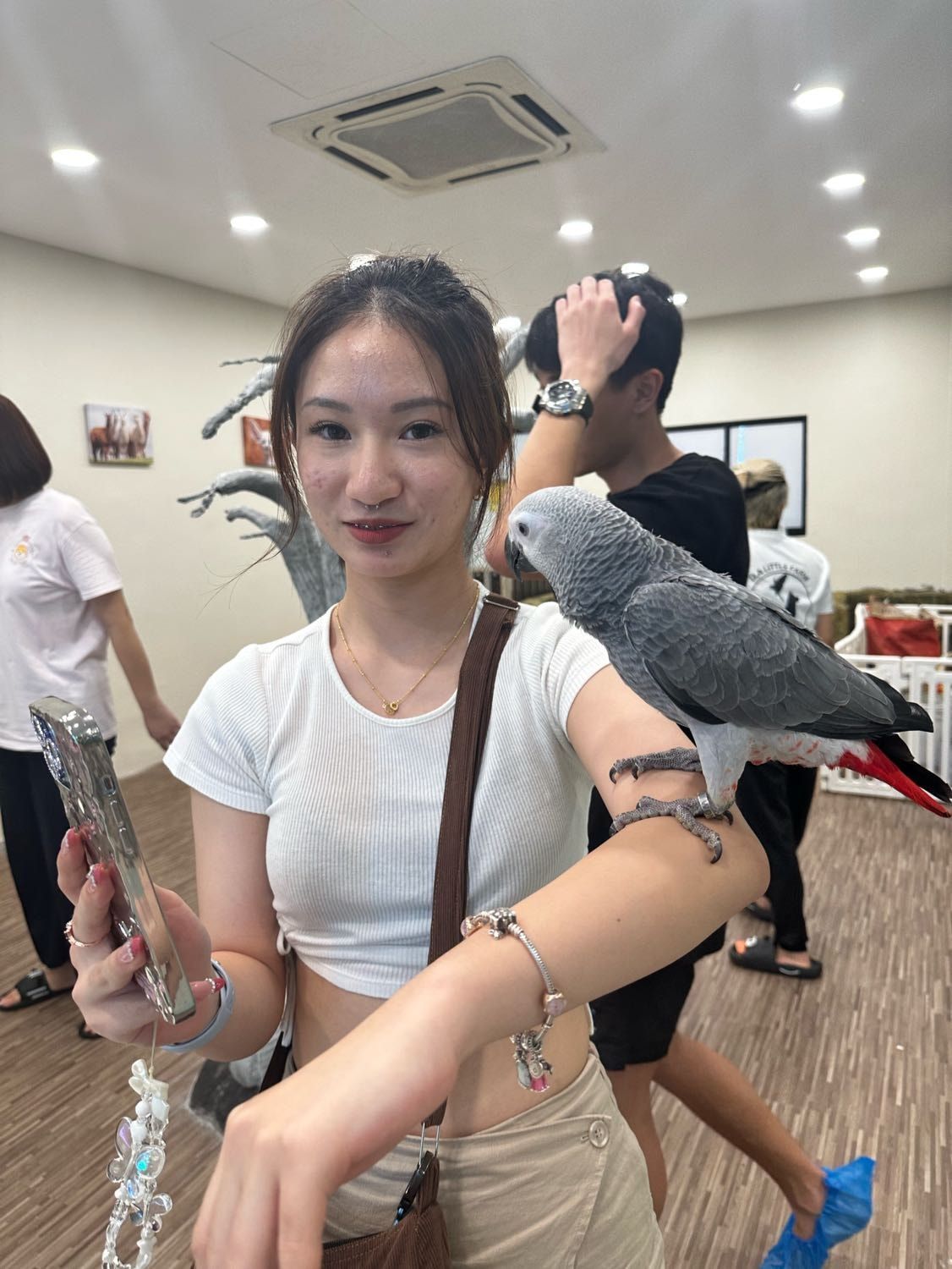 image-4