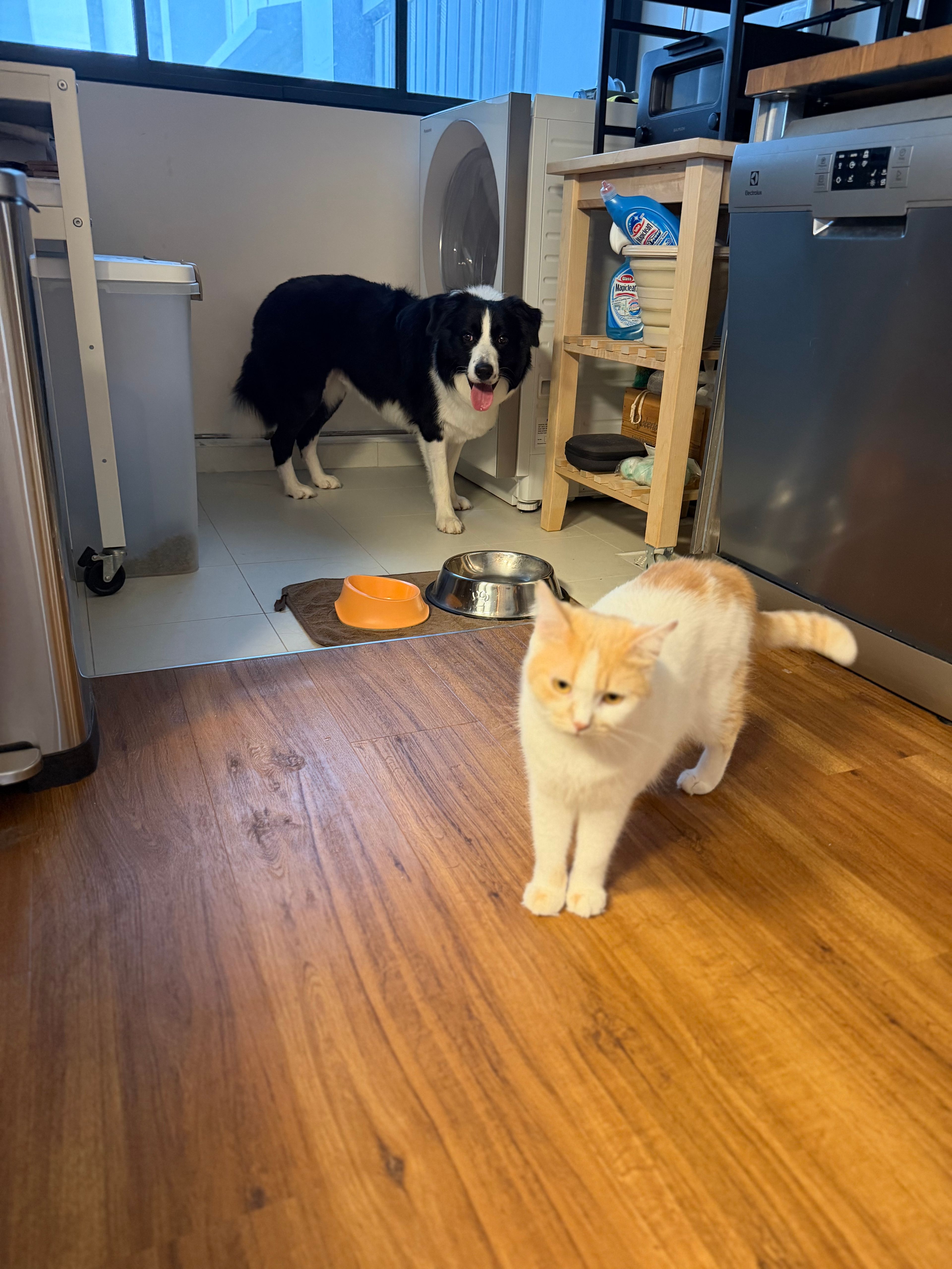 image-13