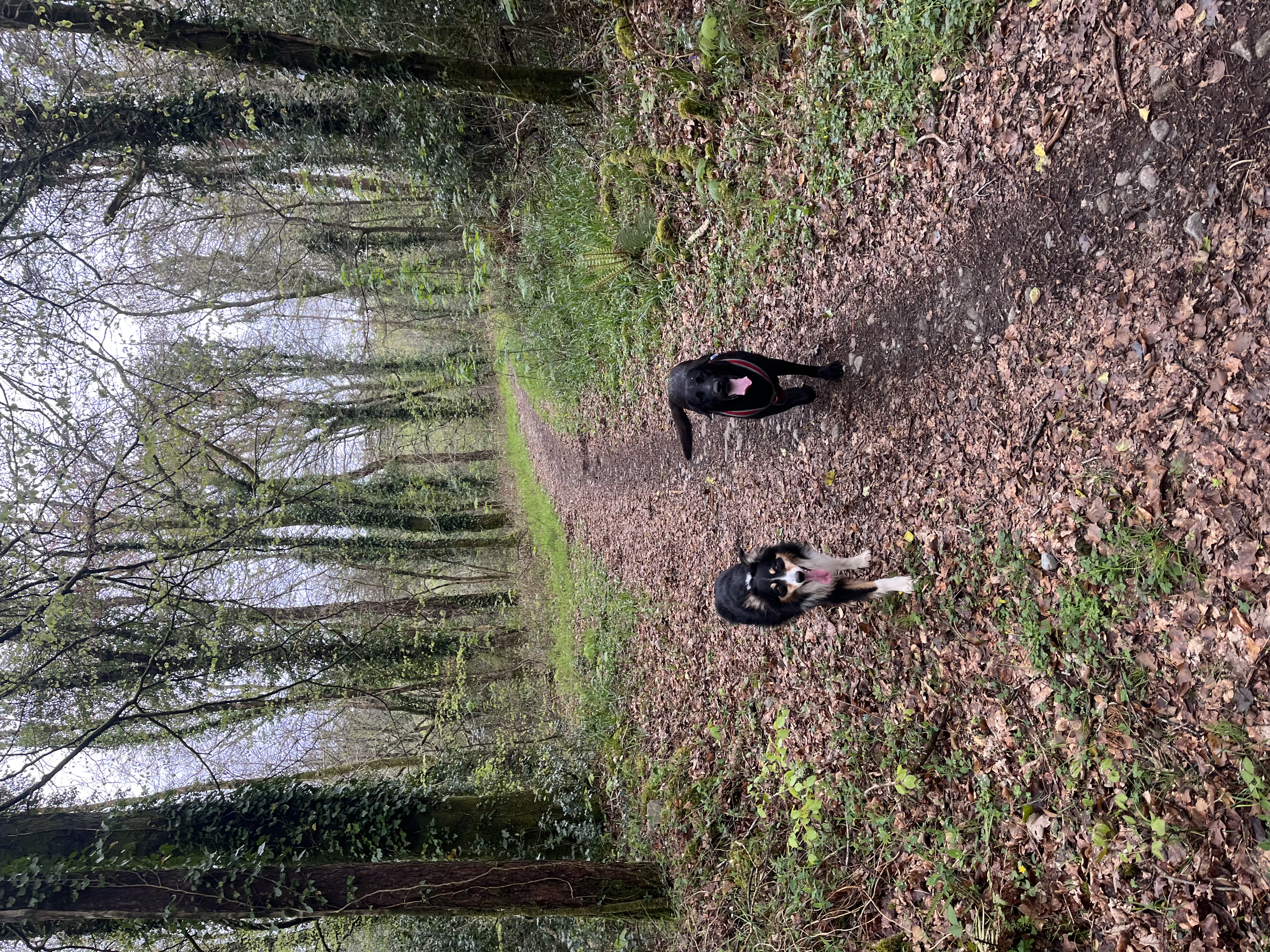 image-9
