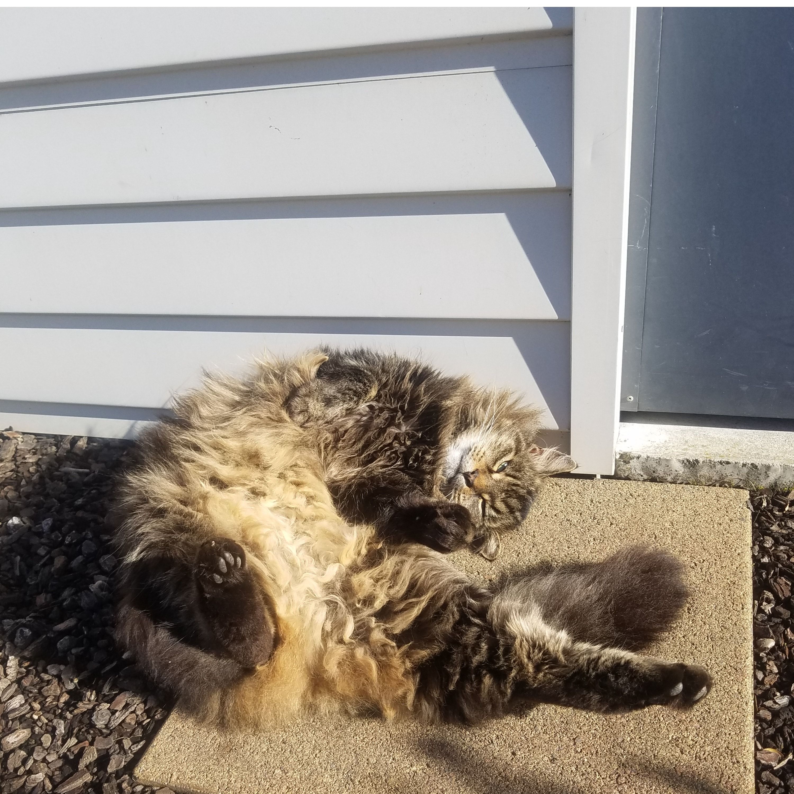 Gus