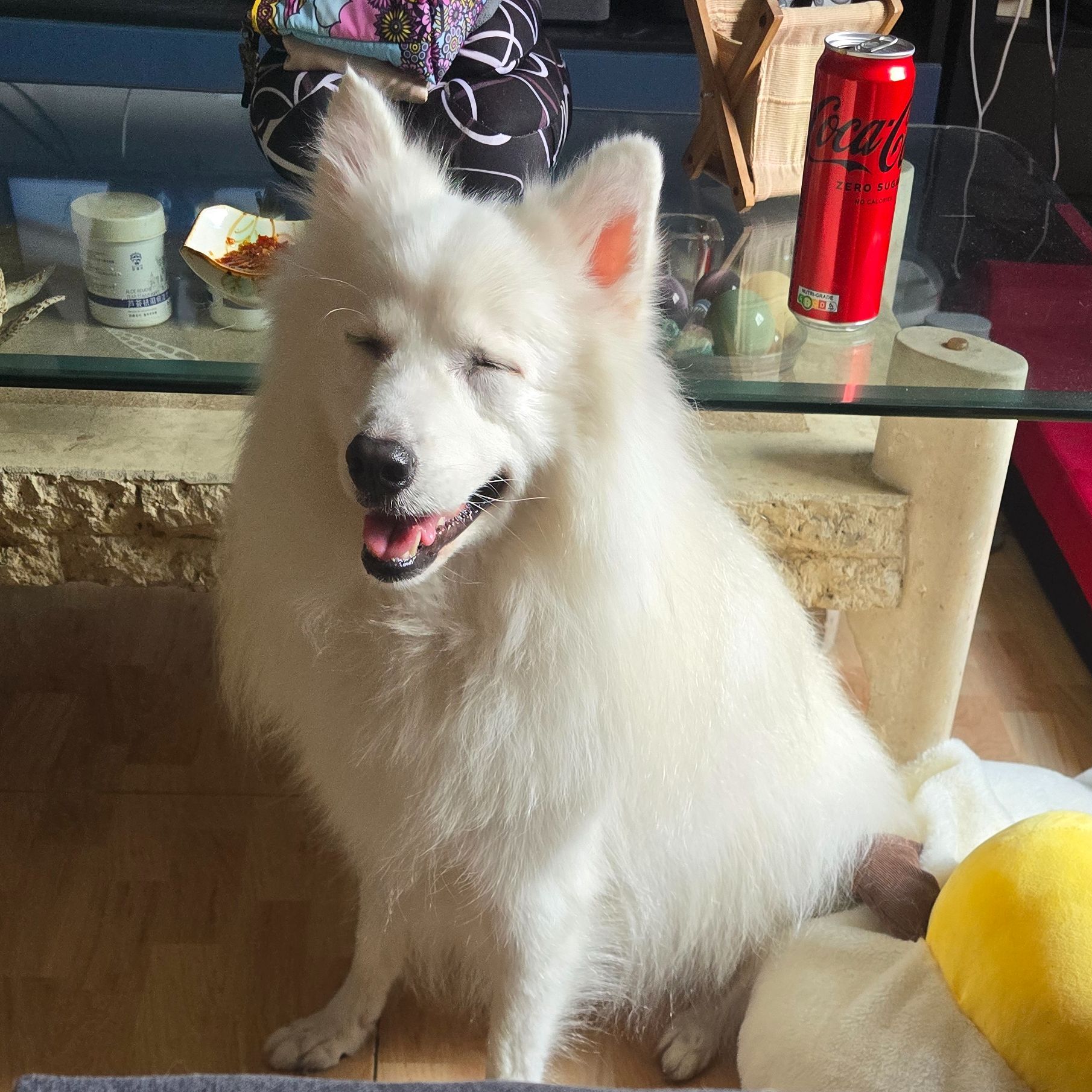 Kaya