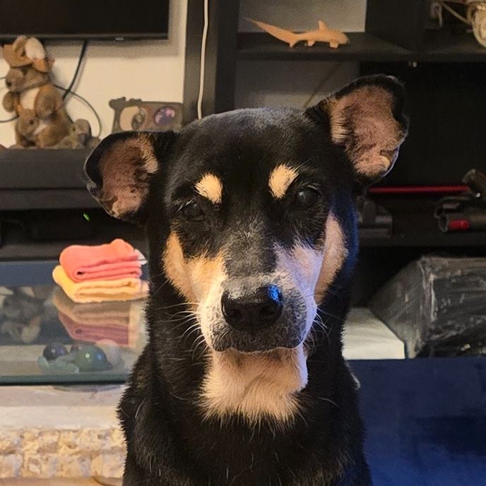 Bella