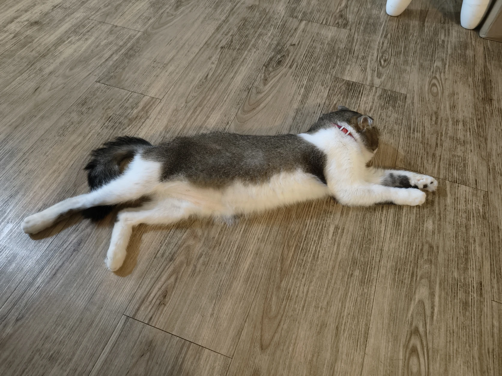 image-11