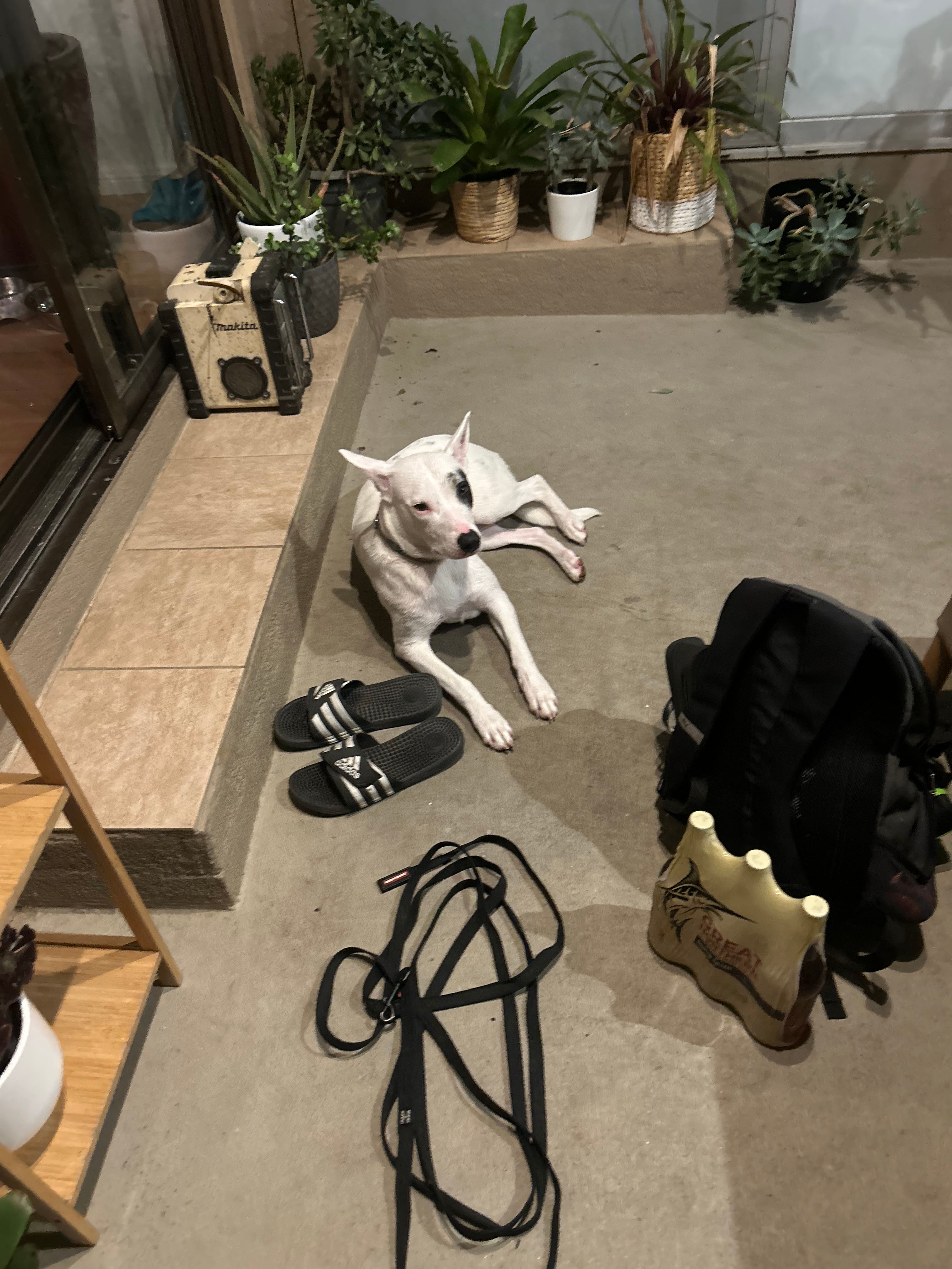 image-7