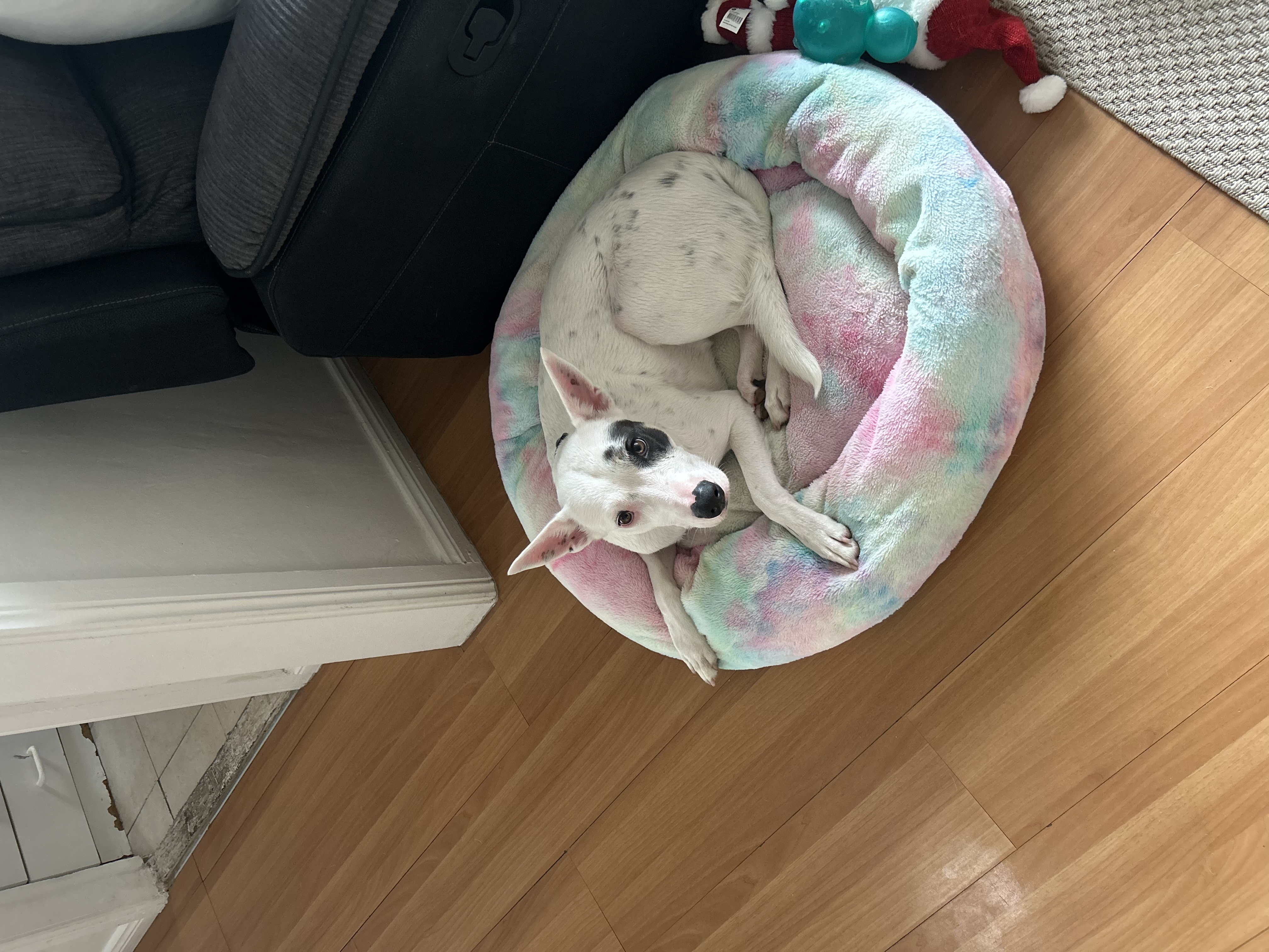 image-11