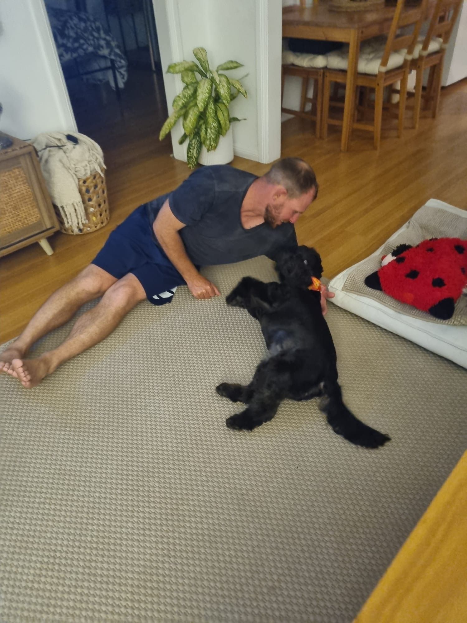 image-18