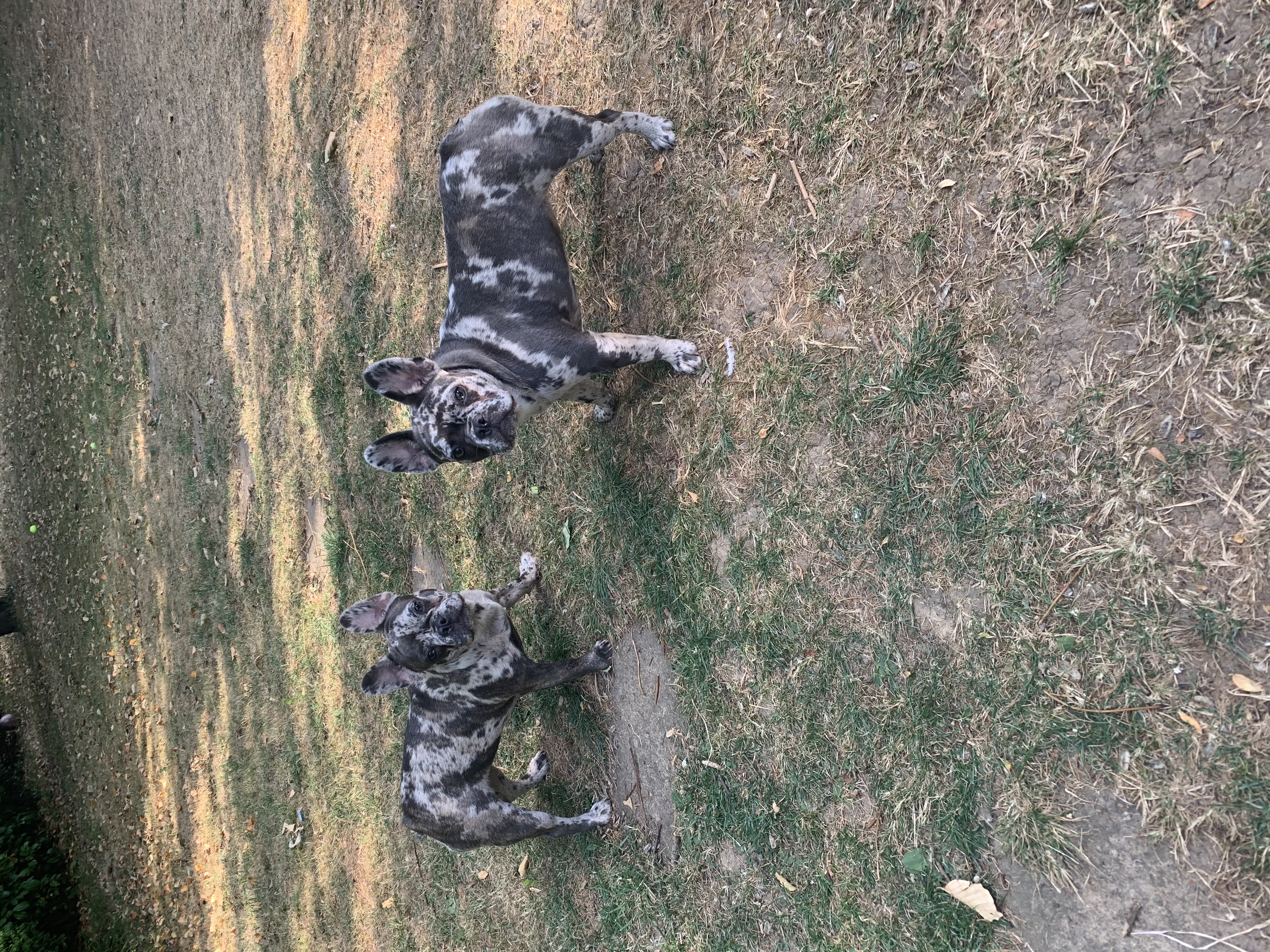 image-8