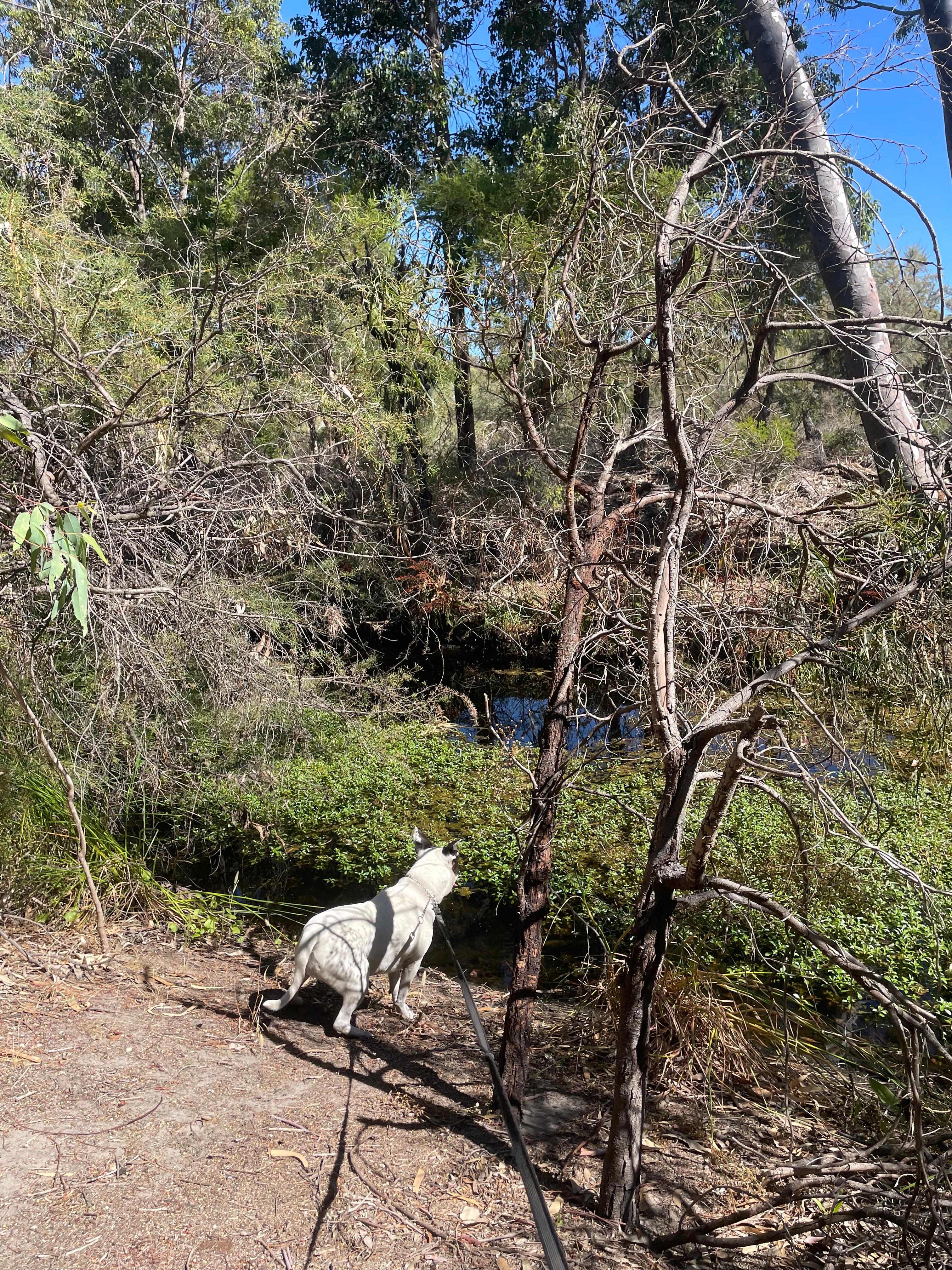 image-15