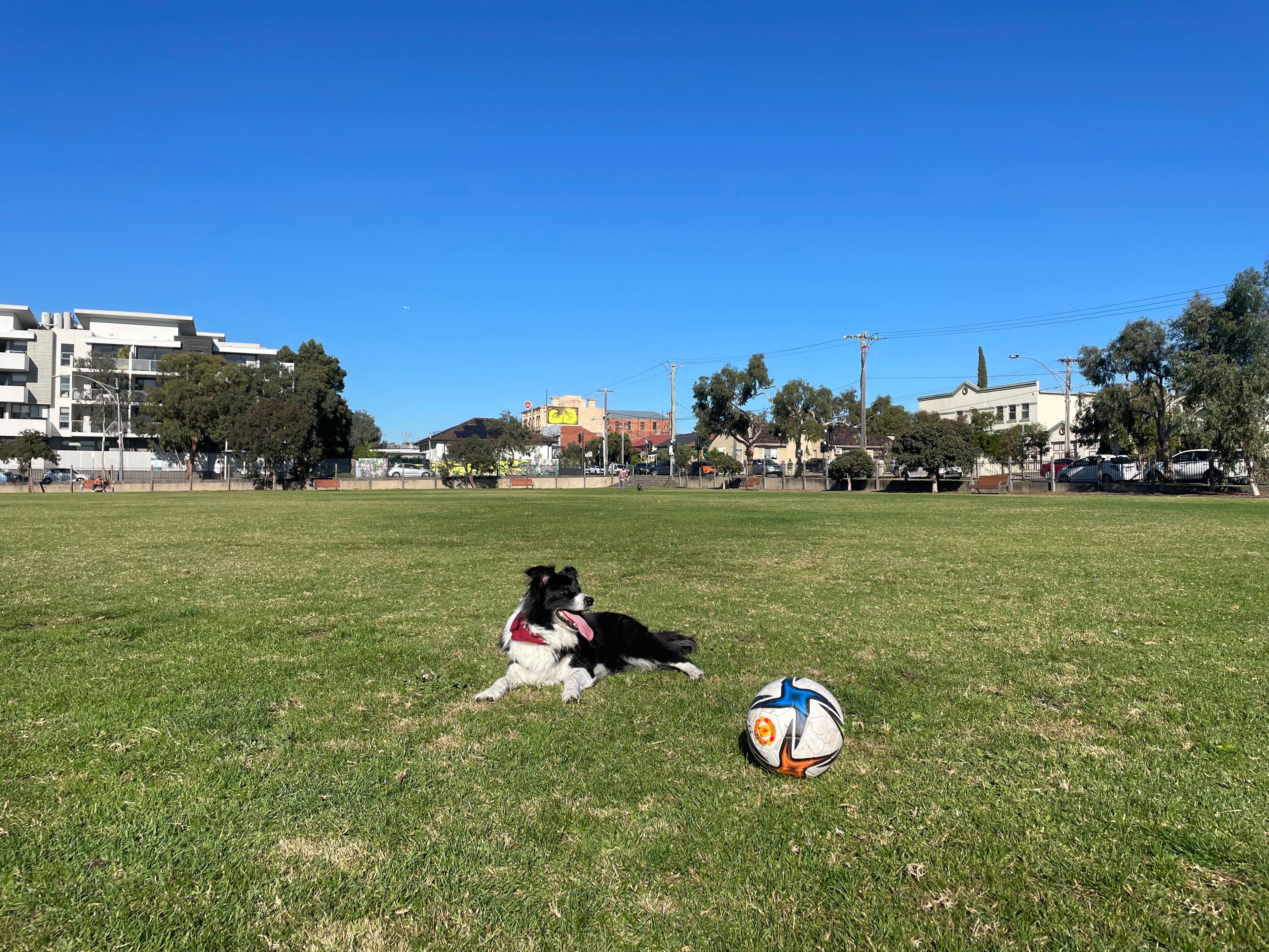 image-16