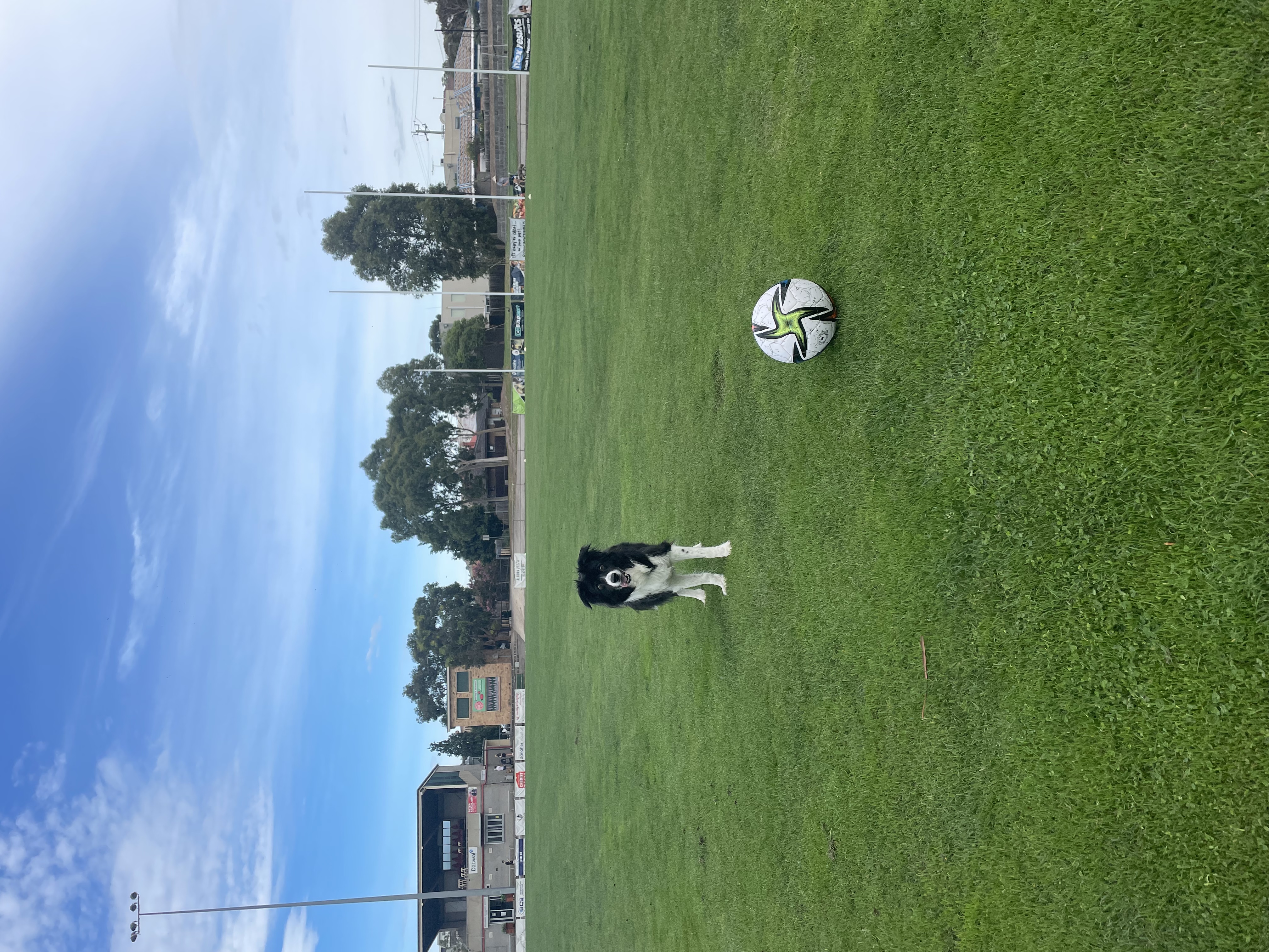 image-17