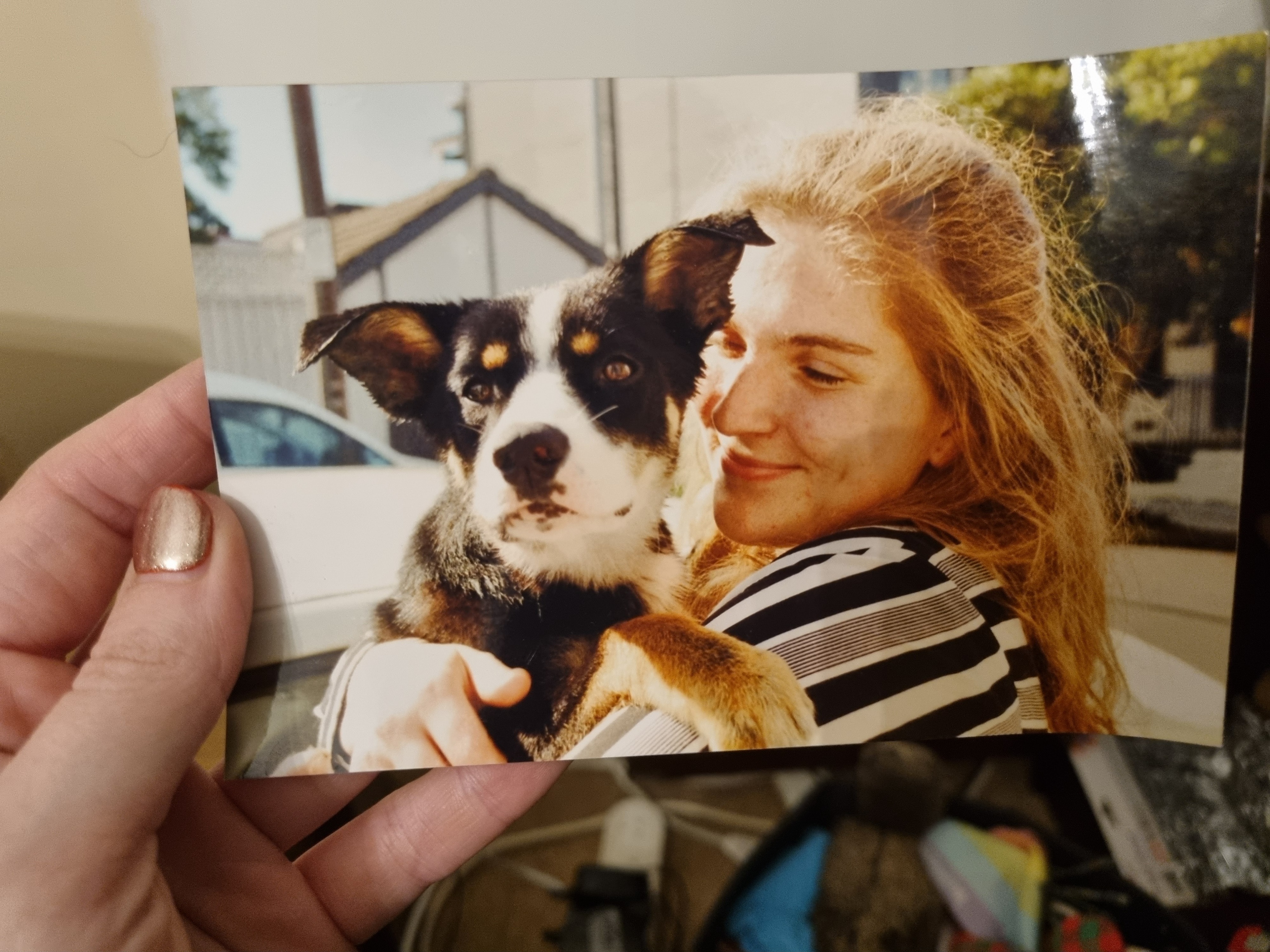 image-6
