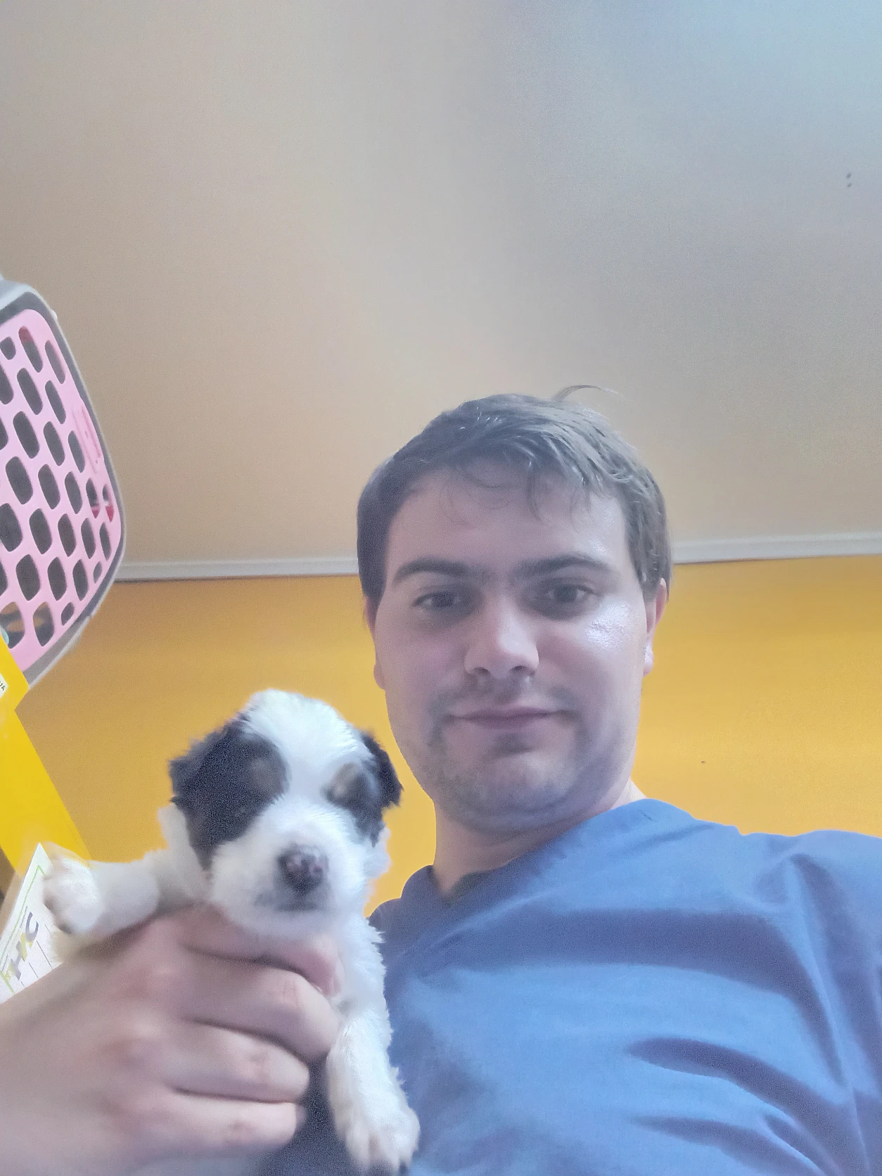 image-5