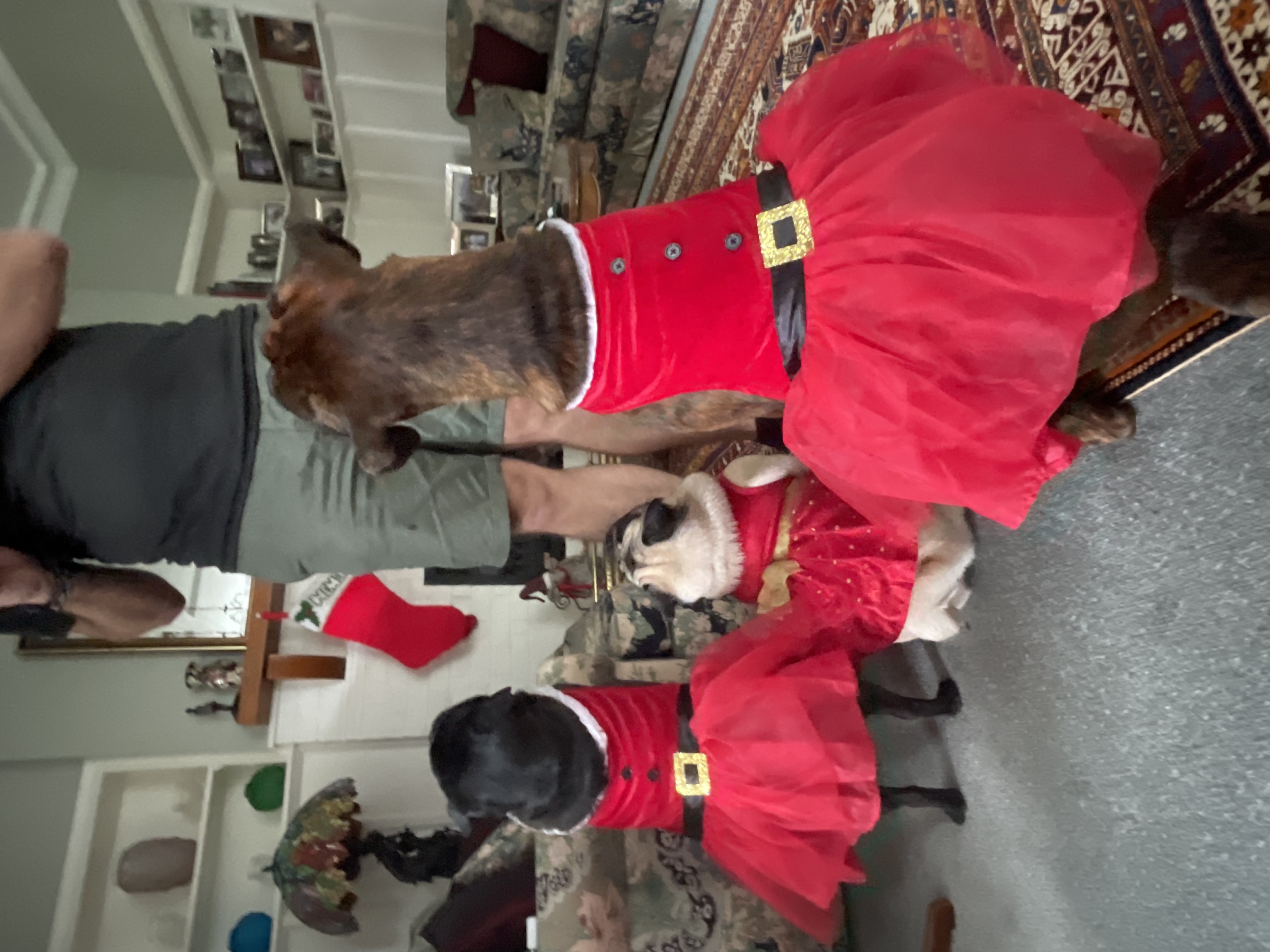 image-31