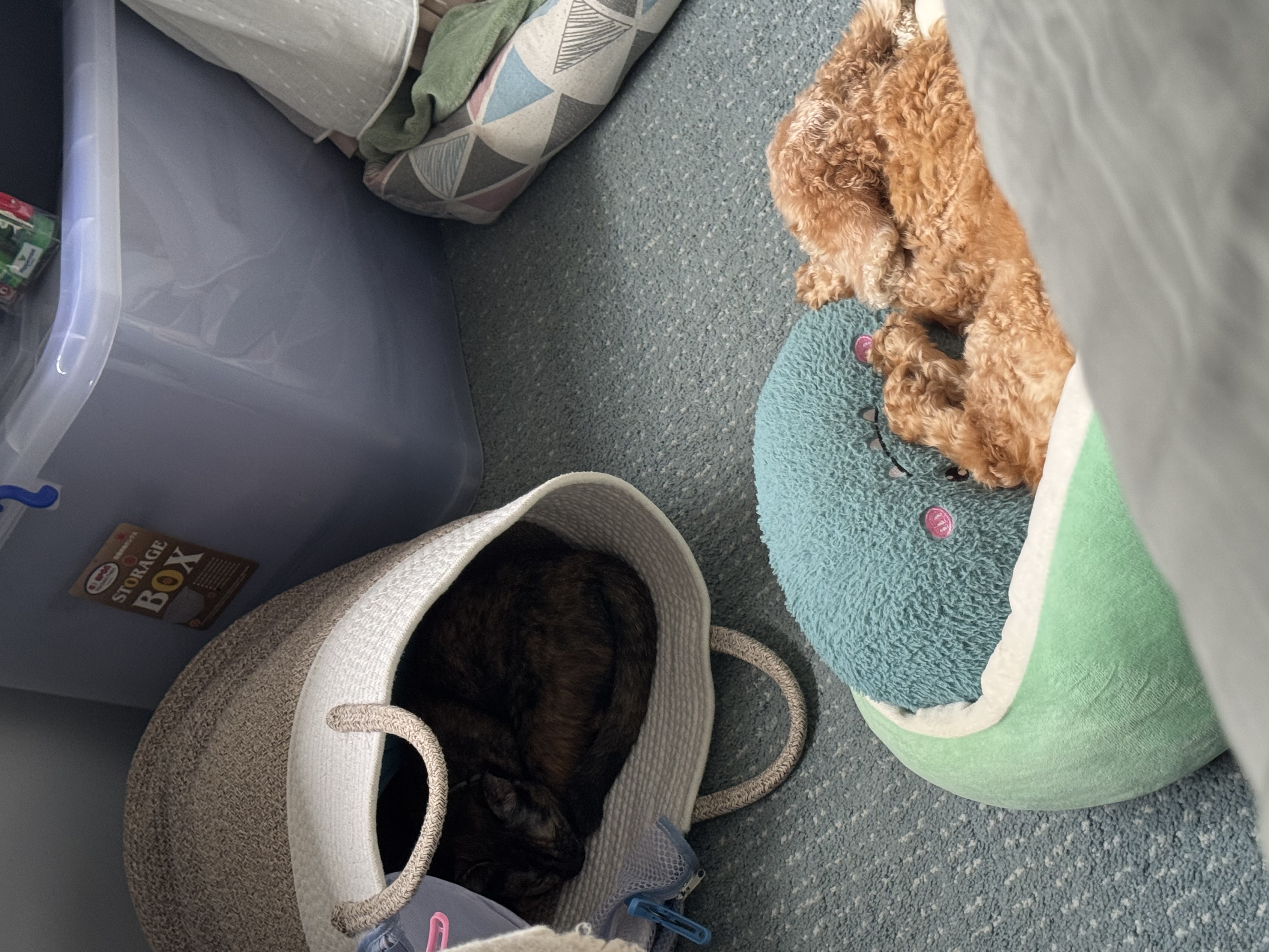 image-13