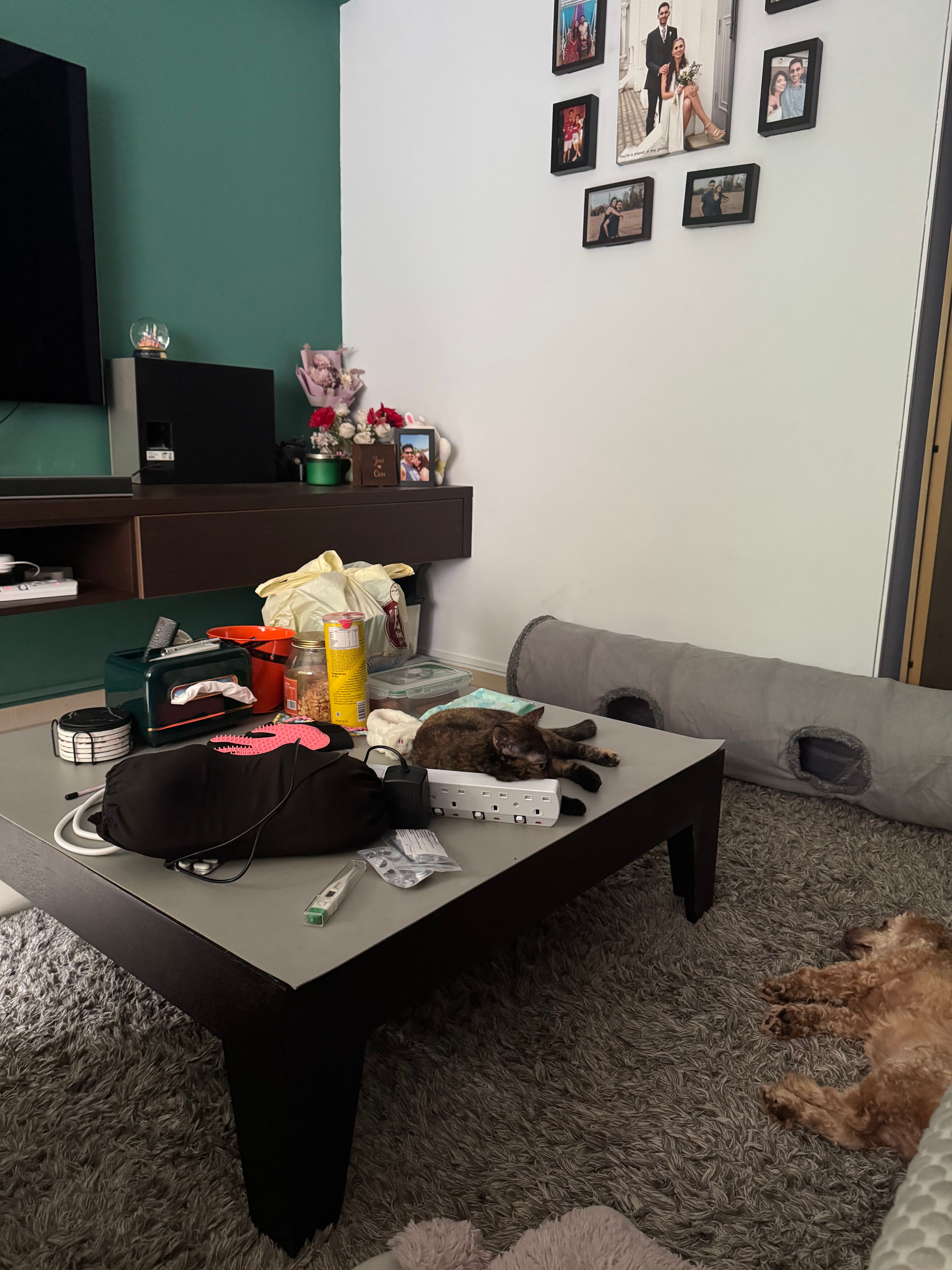 image-12