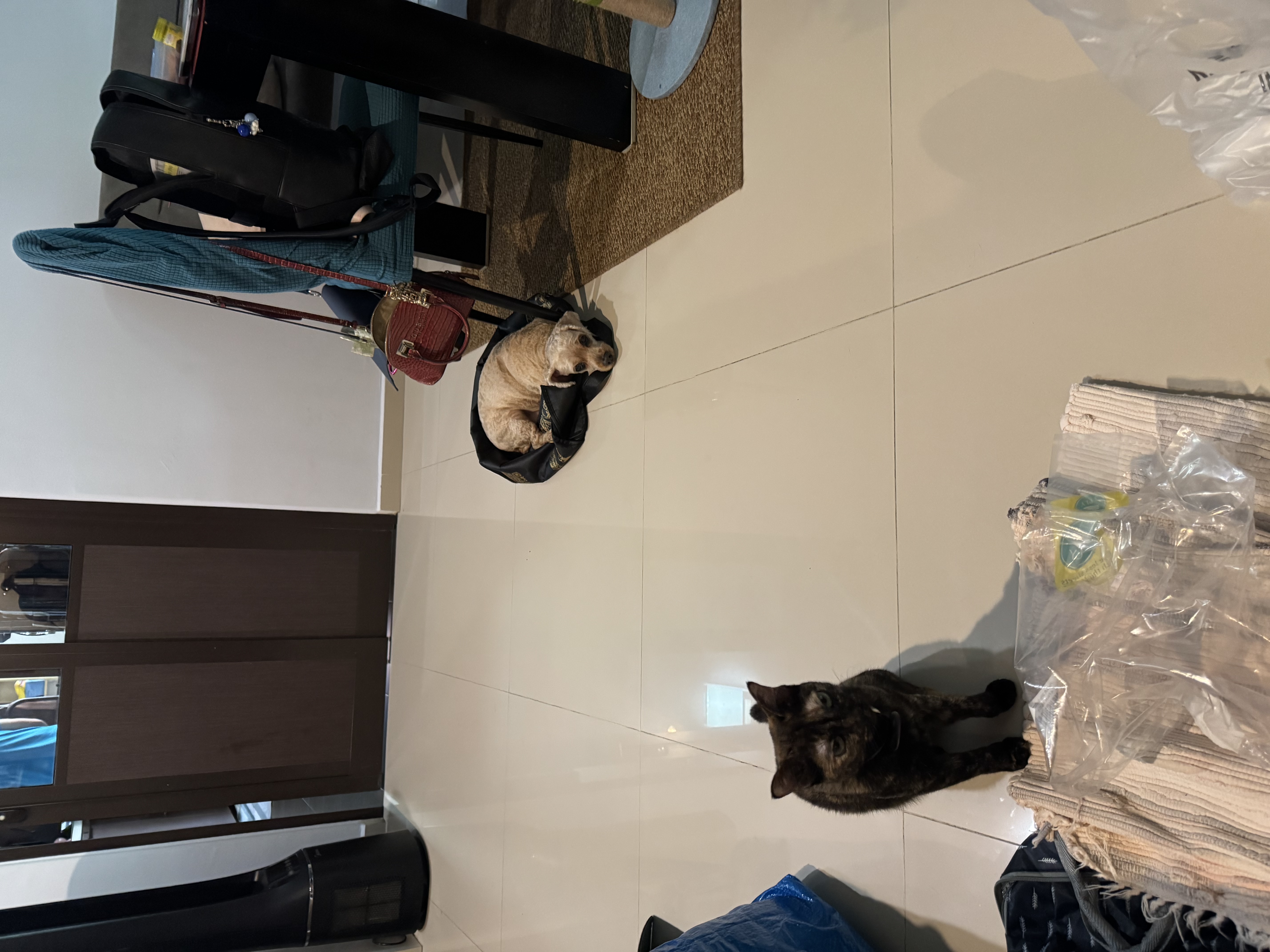 image-17