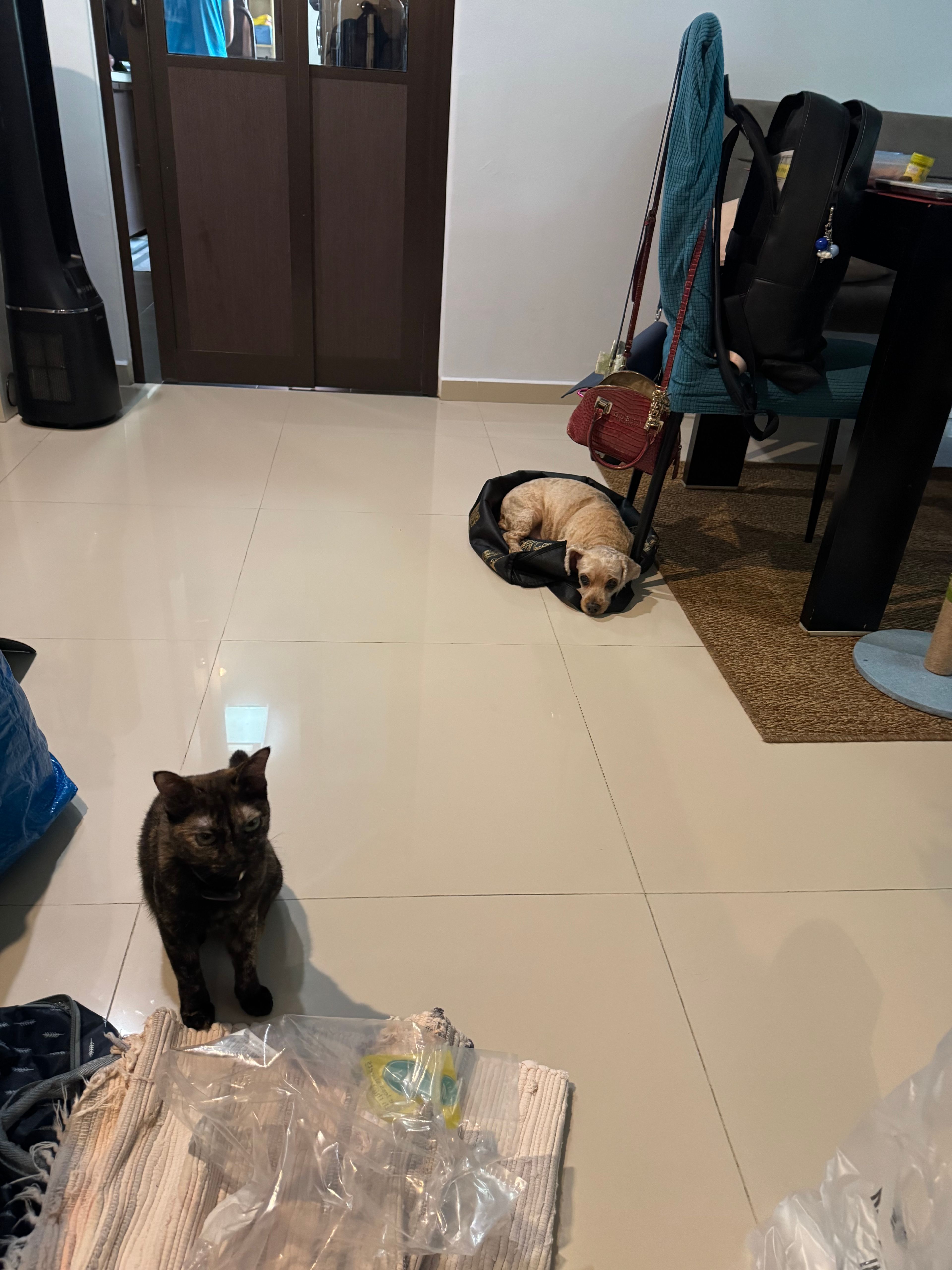 image-17