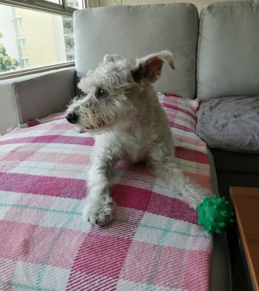 image-154