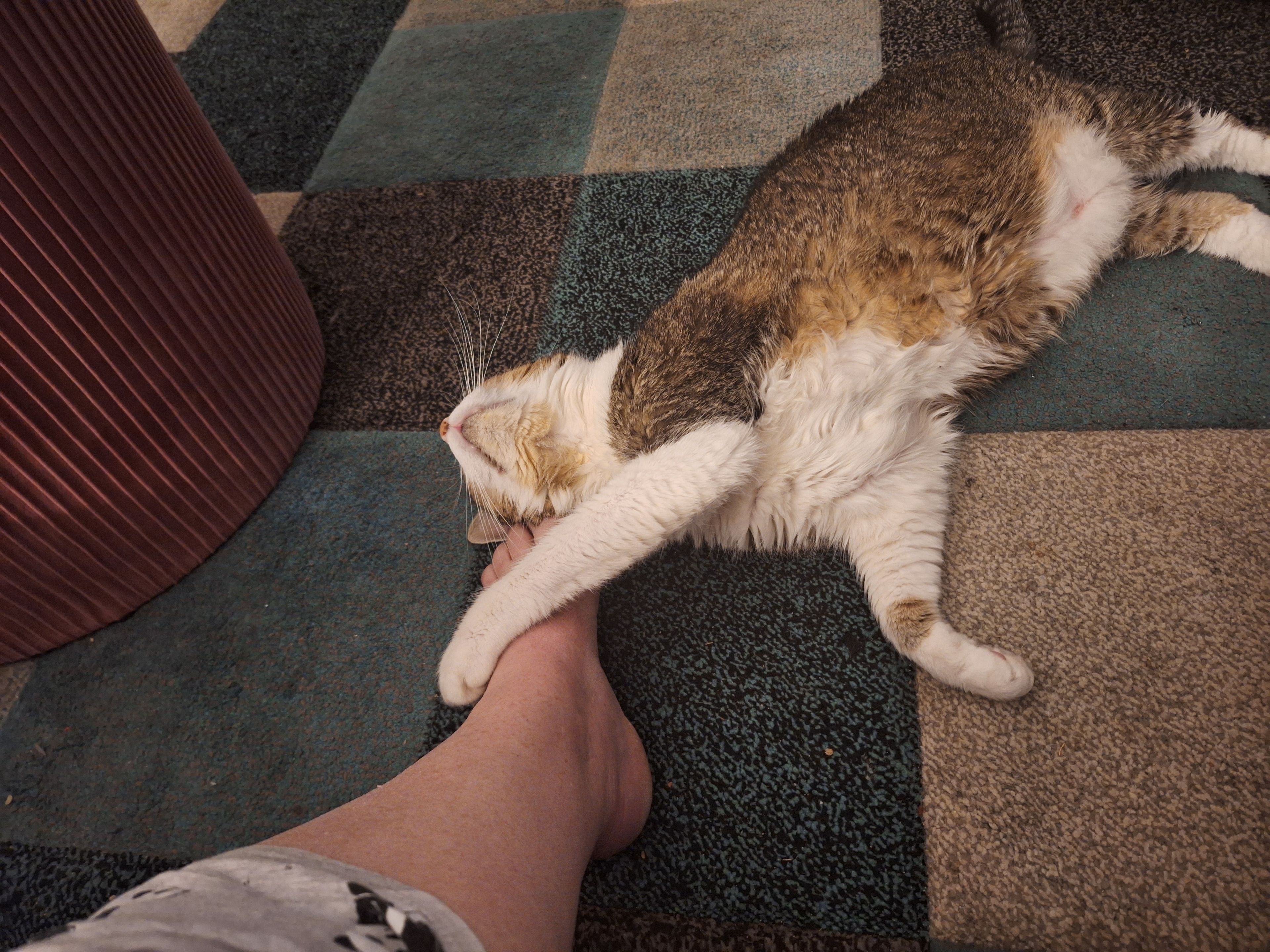 image-9