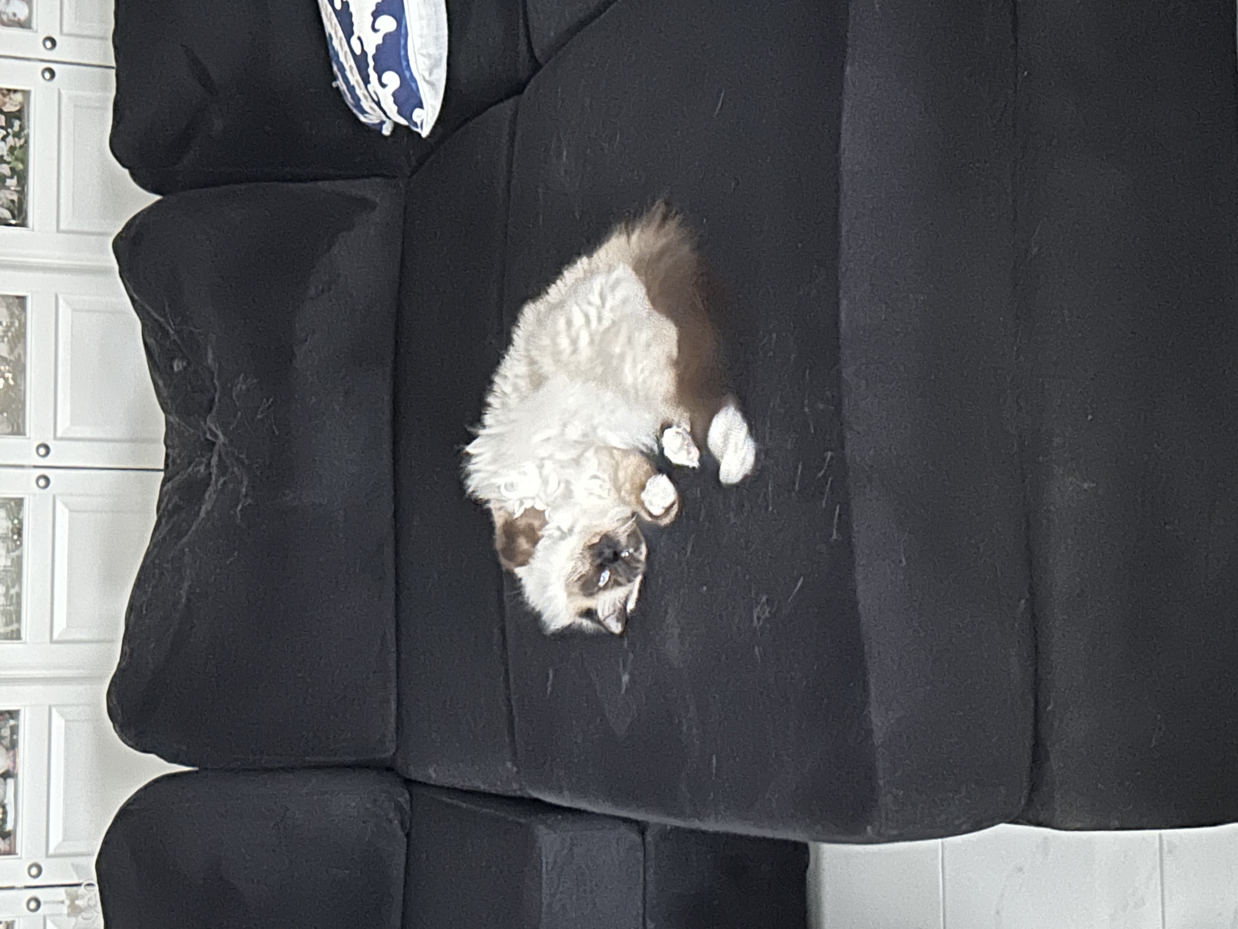 image-7
