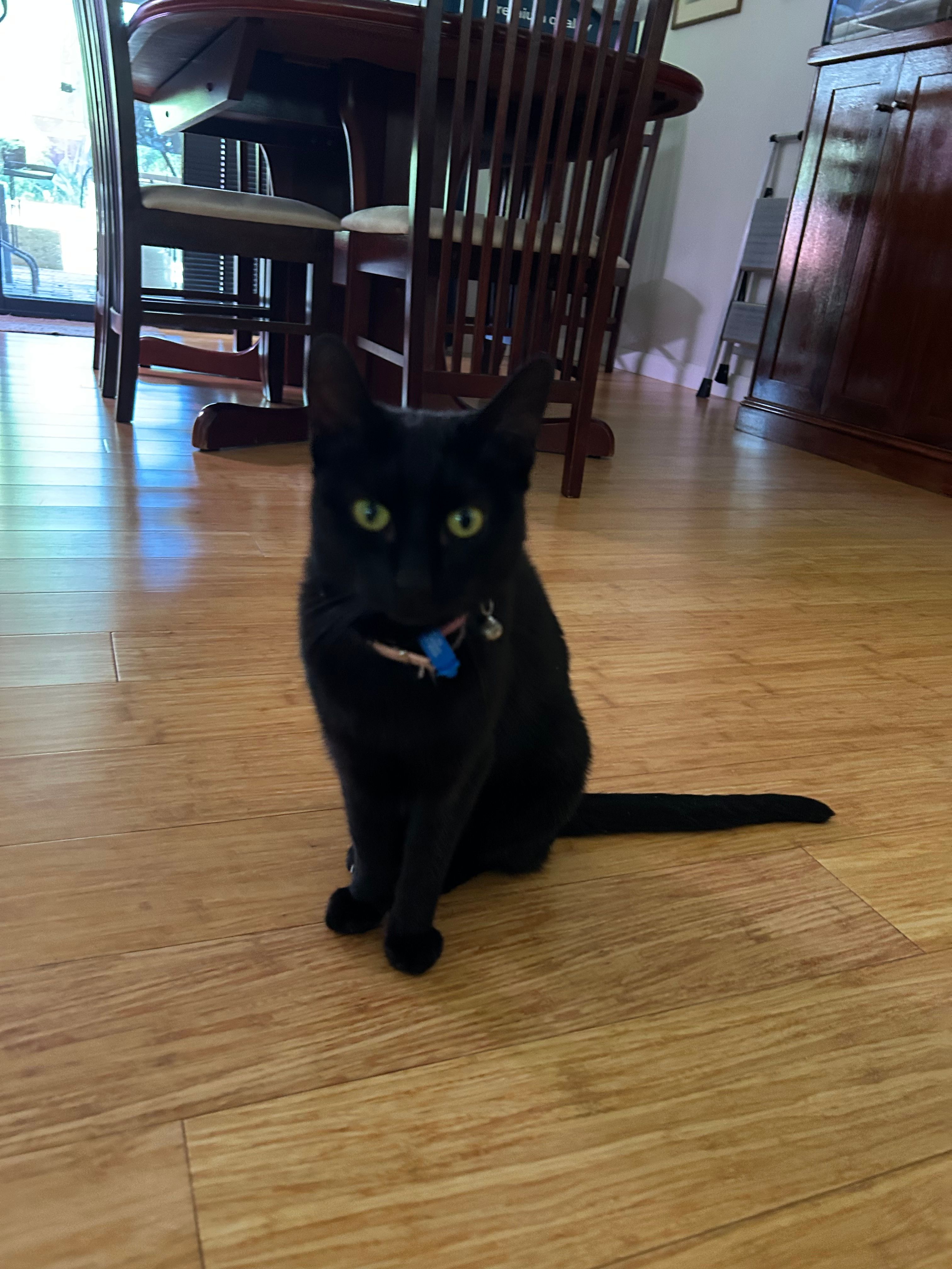 image-11