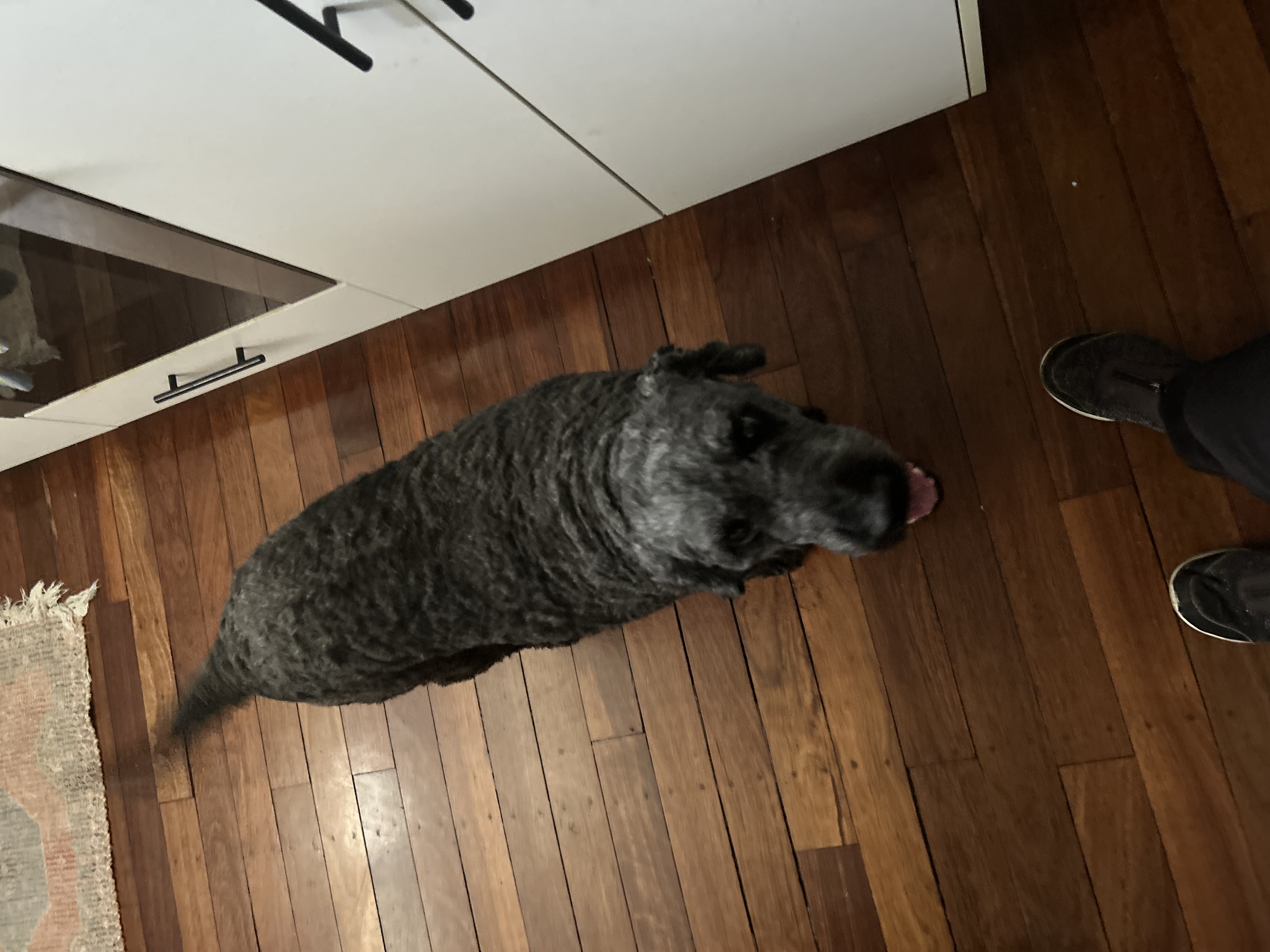 image-17
