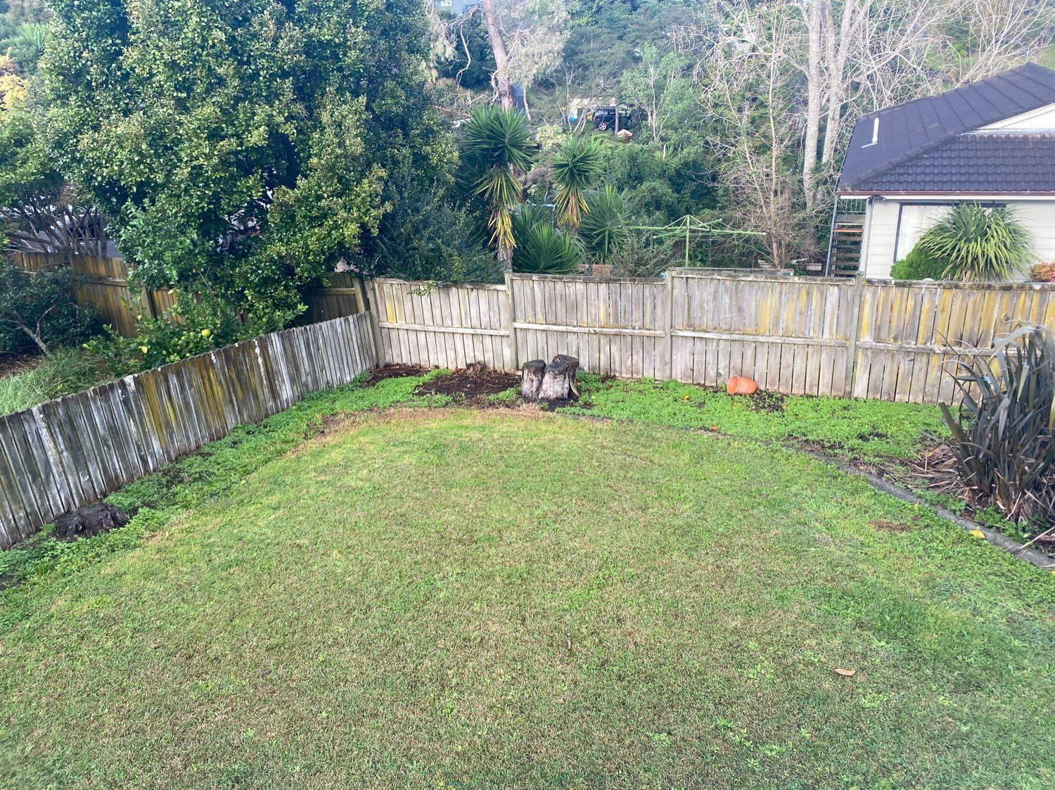 image-6
