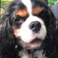 Missy