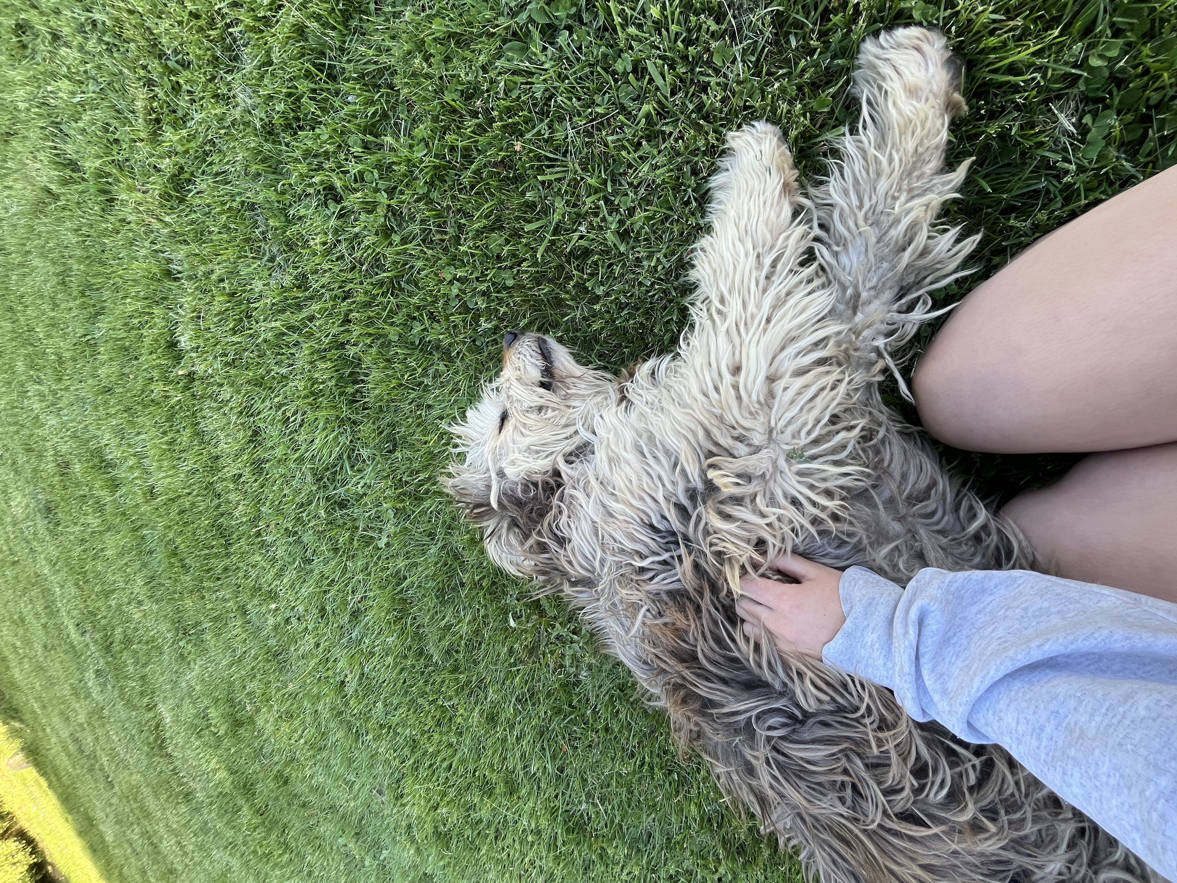 image-6