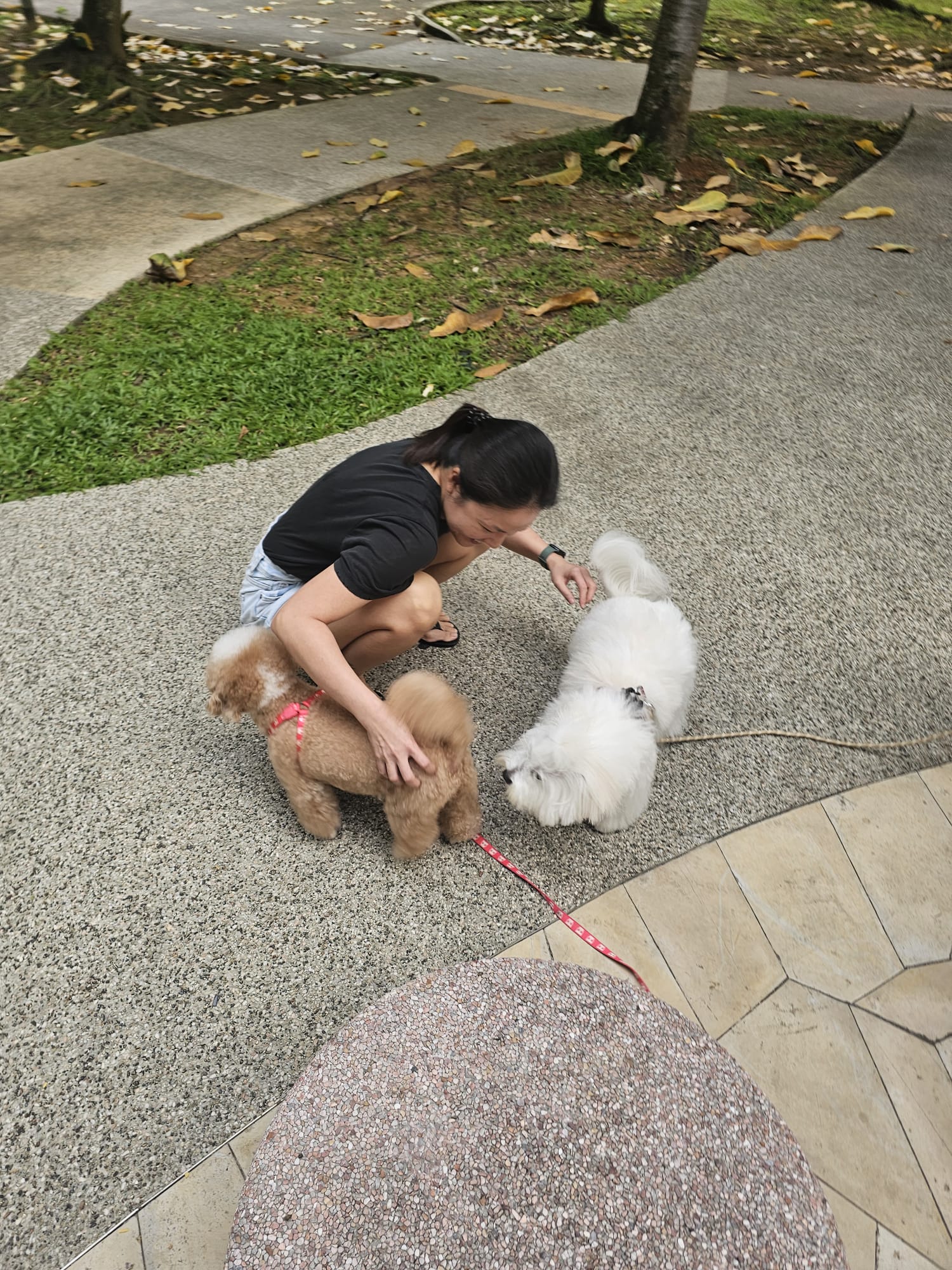 image-9