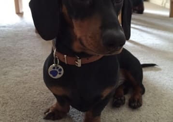 Frank