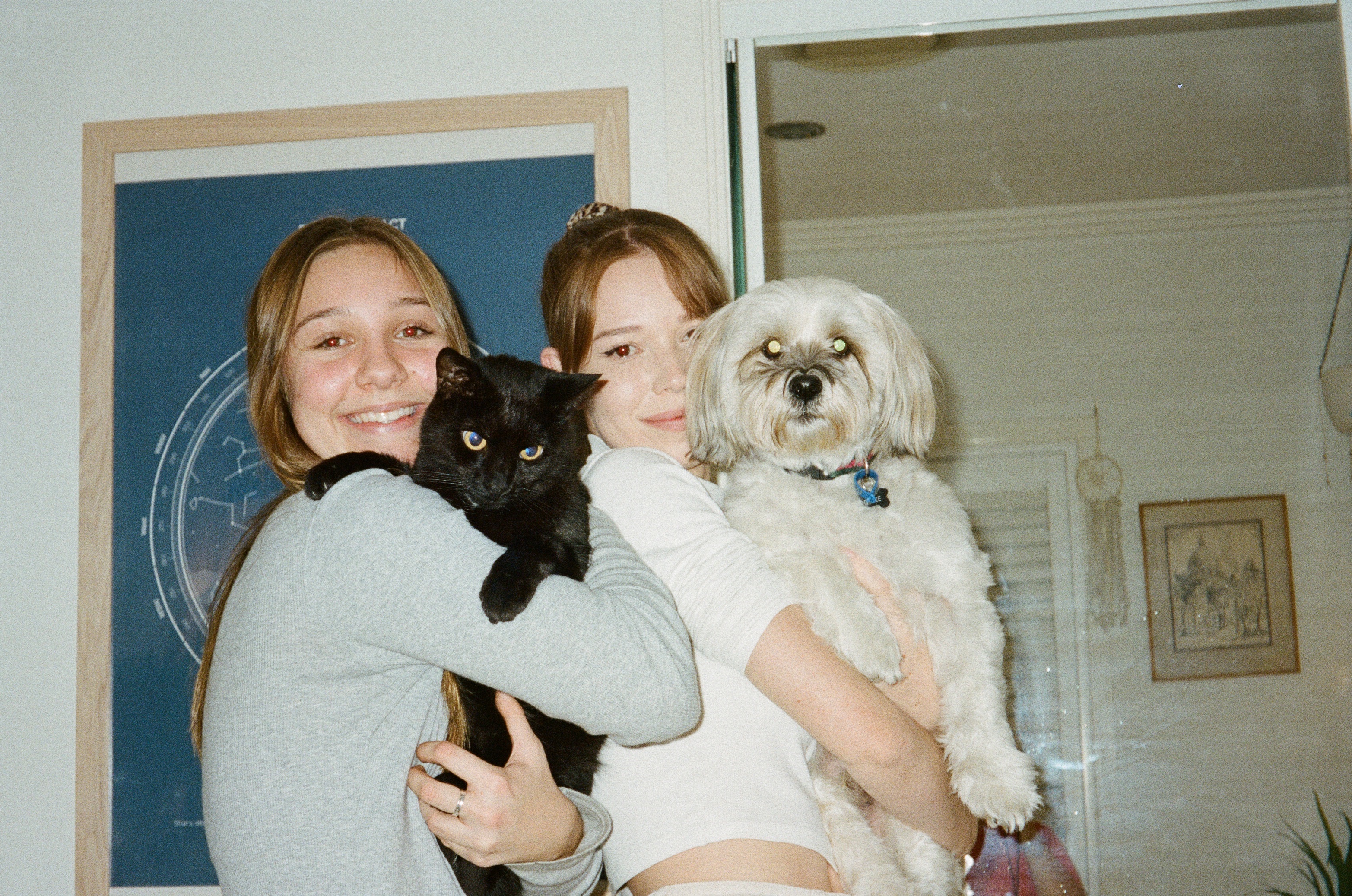 image-2