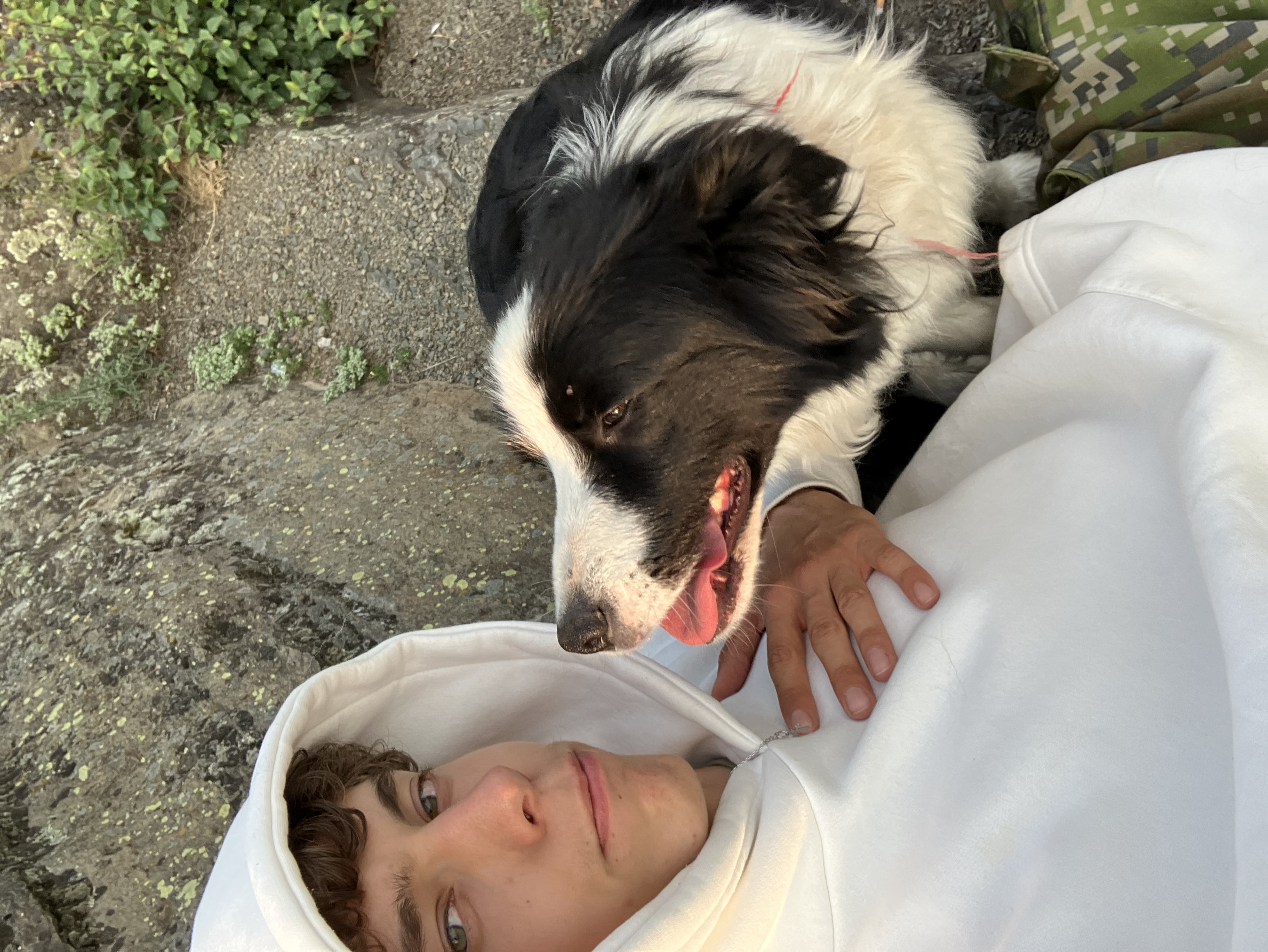 image-5