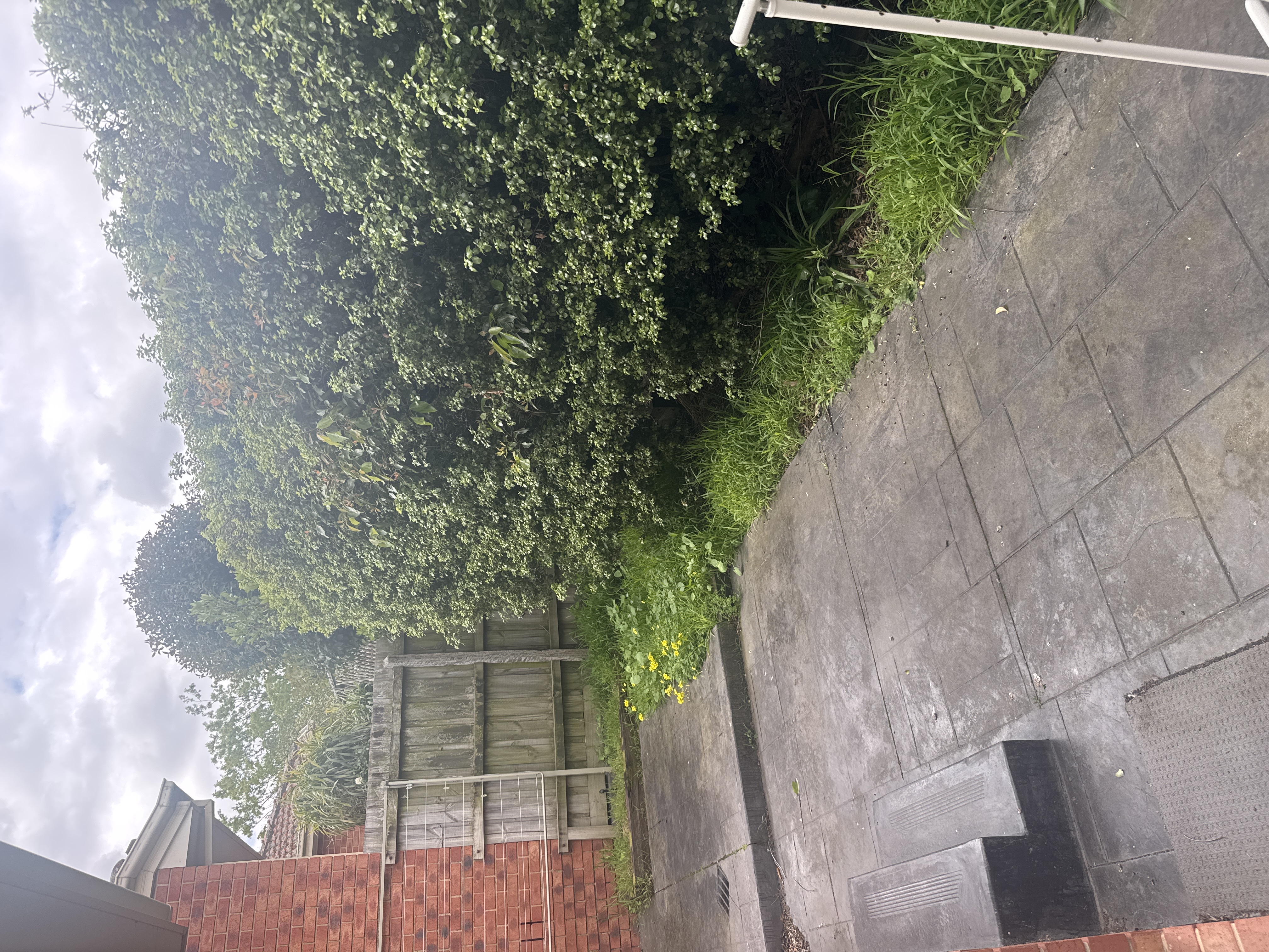 image-19