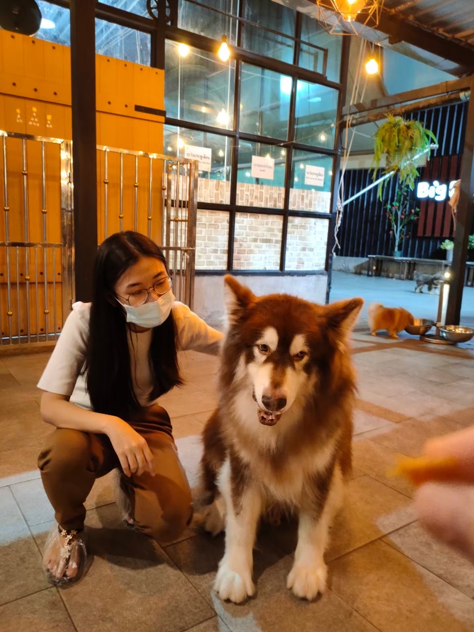 image-7