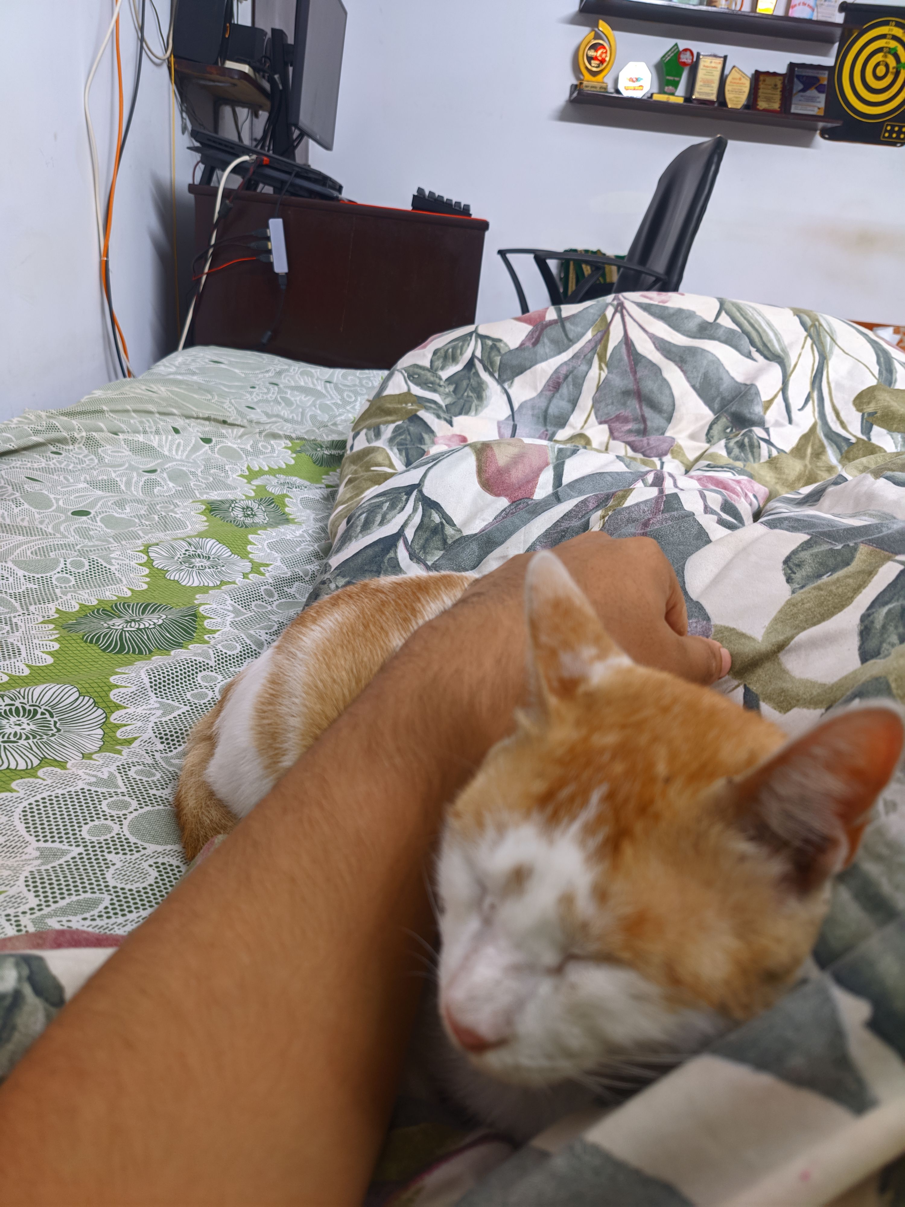 image-13