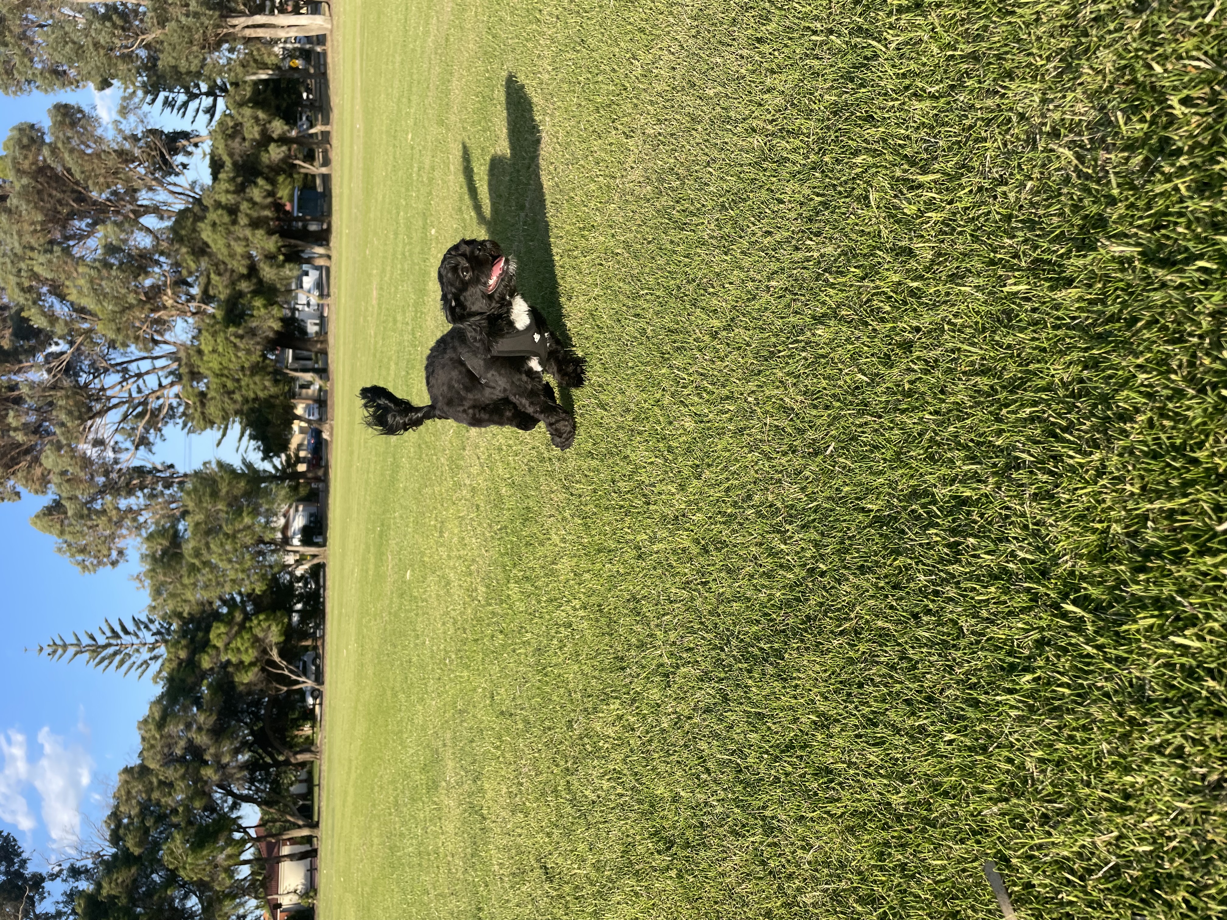 image-8